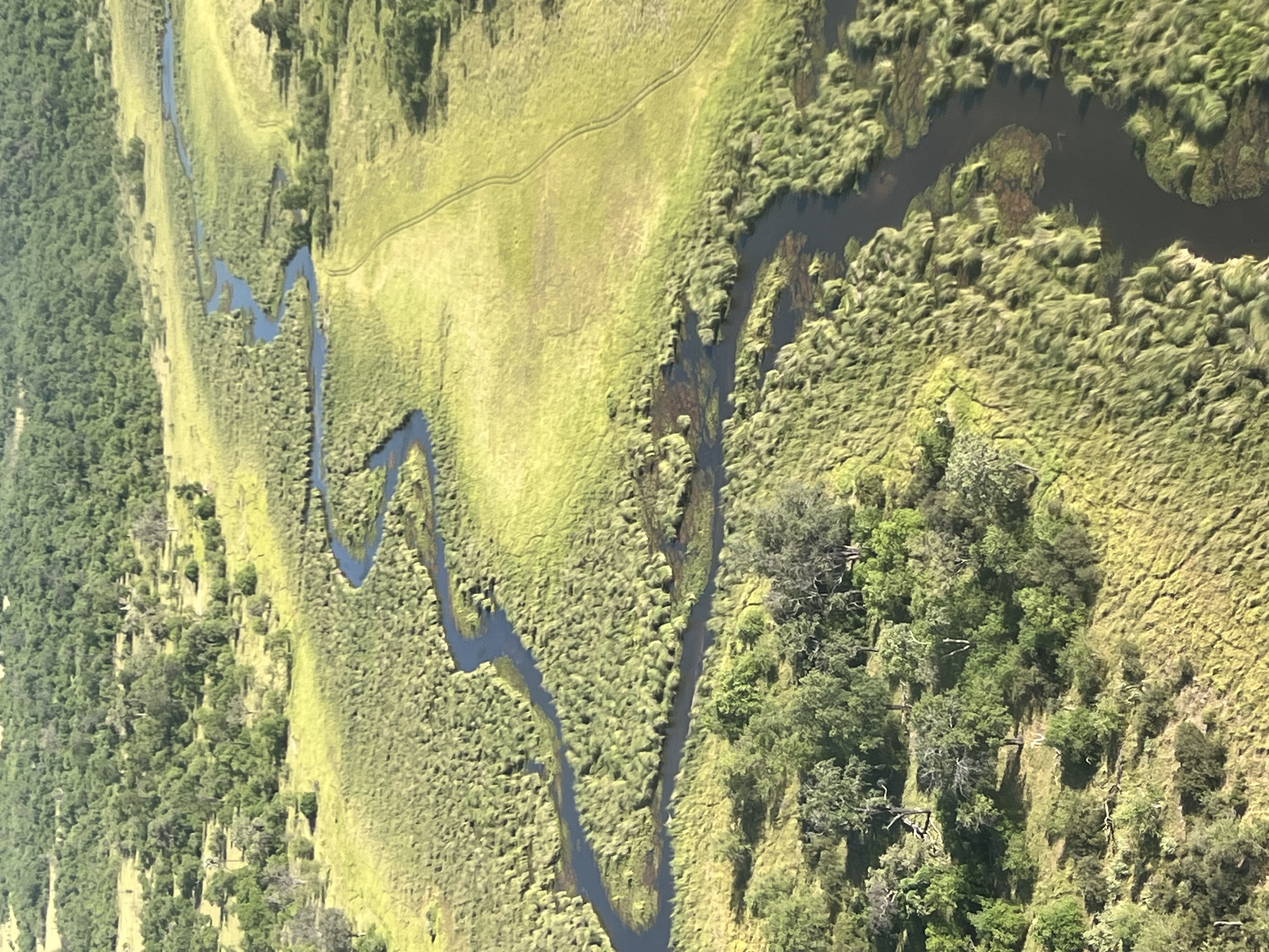 Josie and Adam: An aerial shot of the Okavango