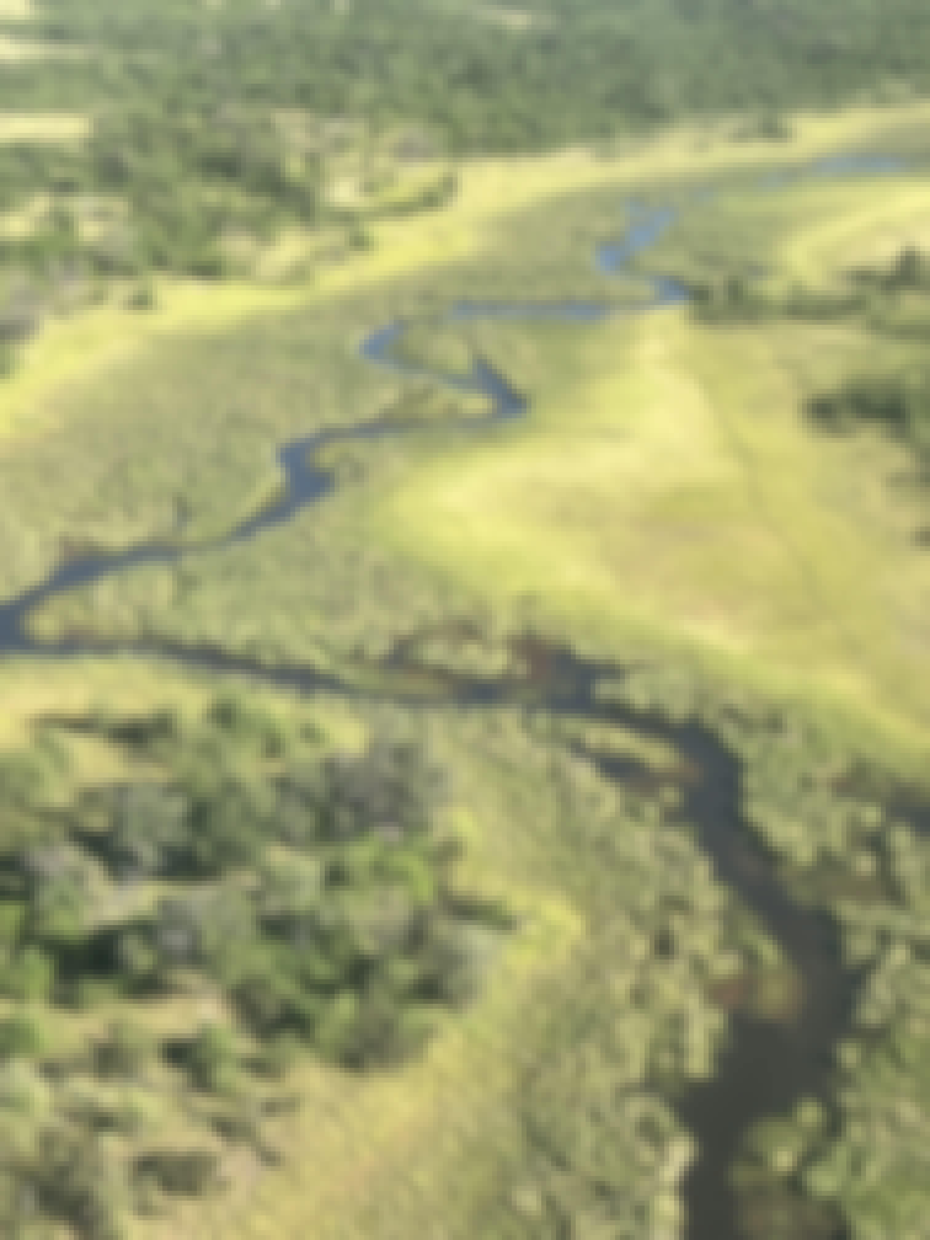 An aerial shot of the Okavango