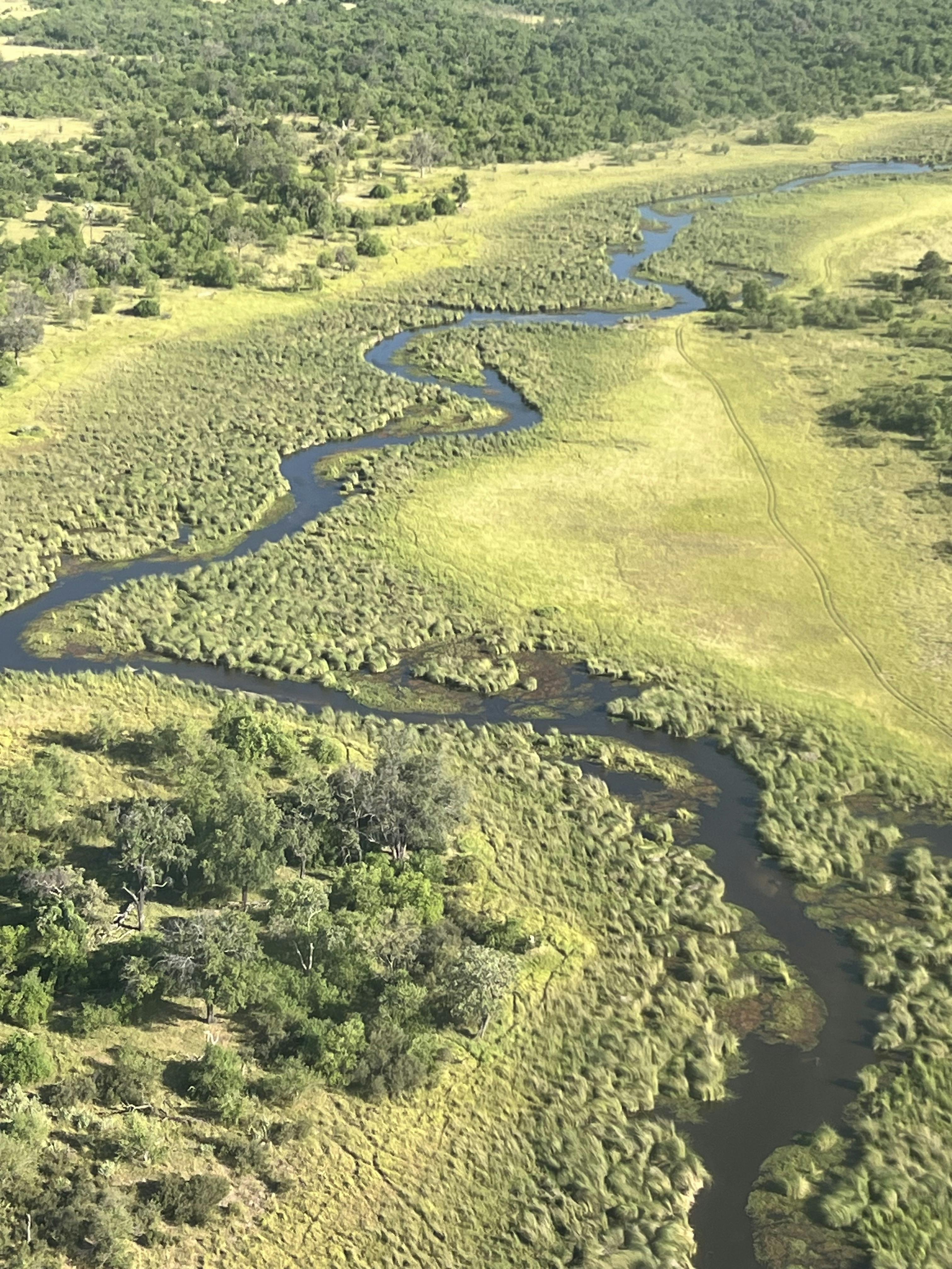 An aerial shot of the Okavango