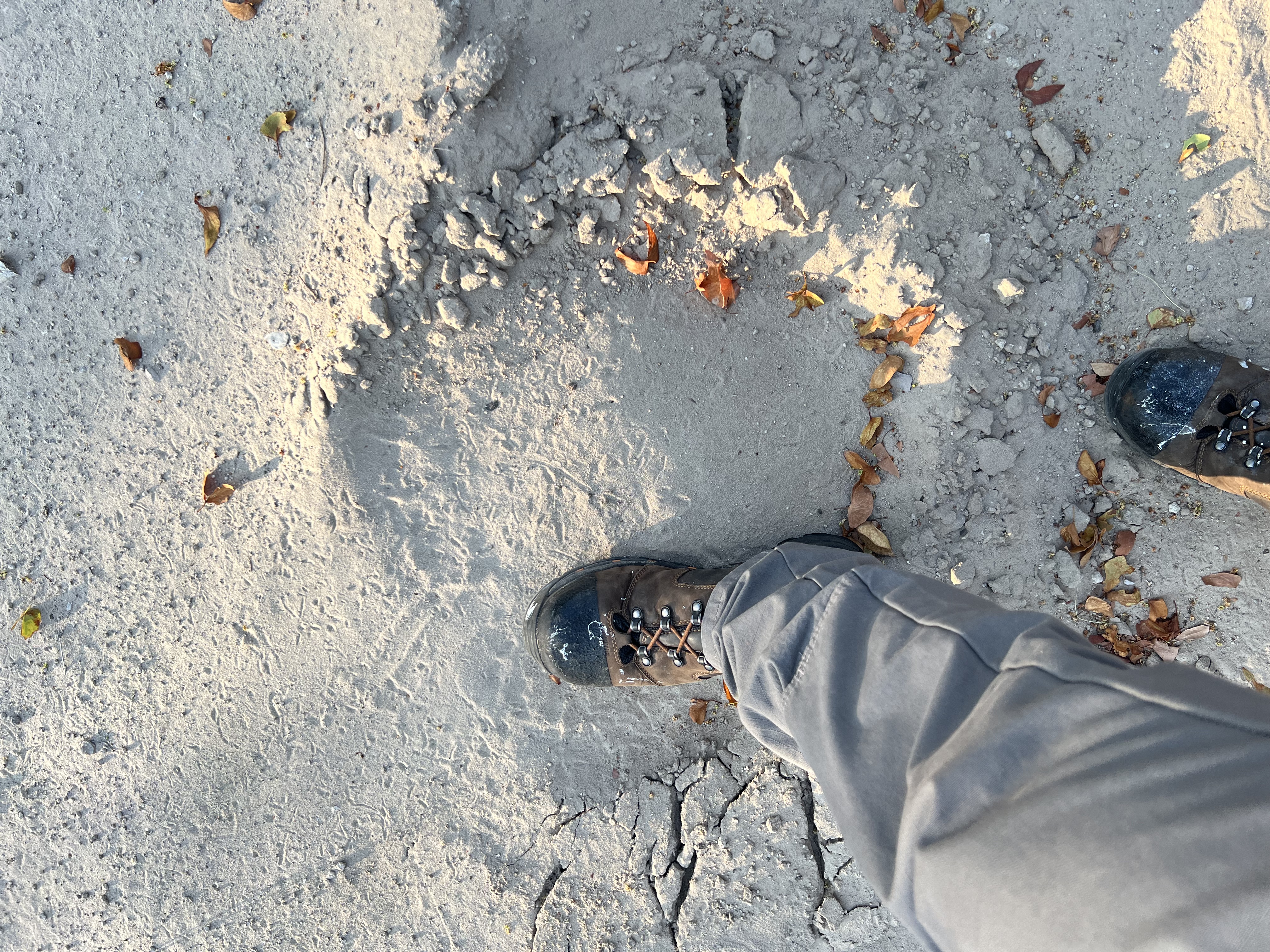 Josie and Adam: An elephant track in the Okavango