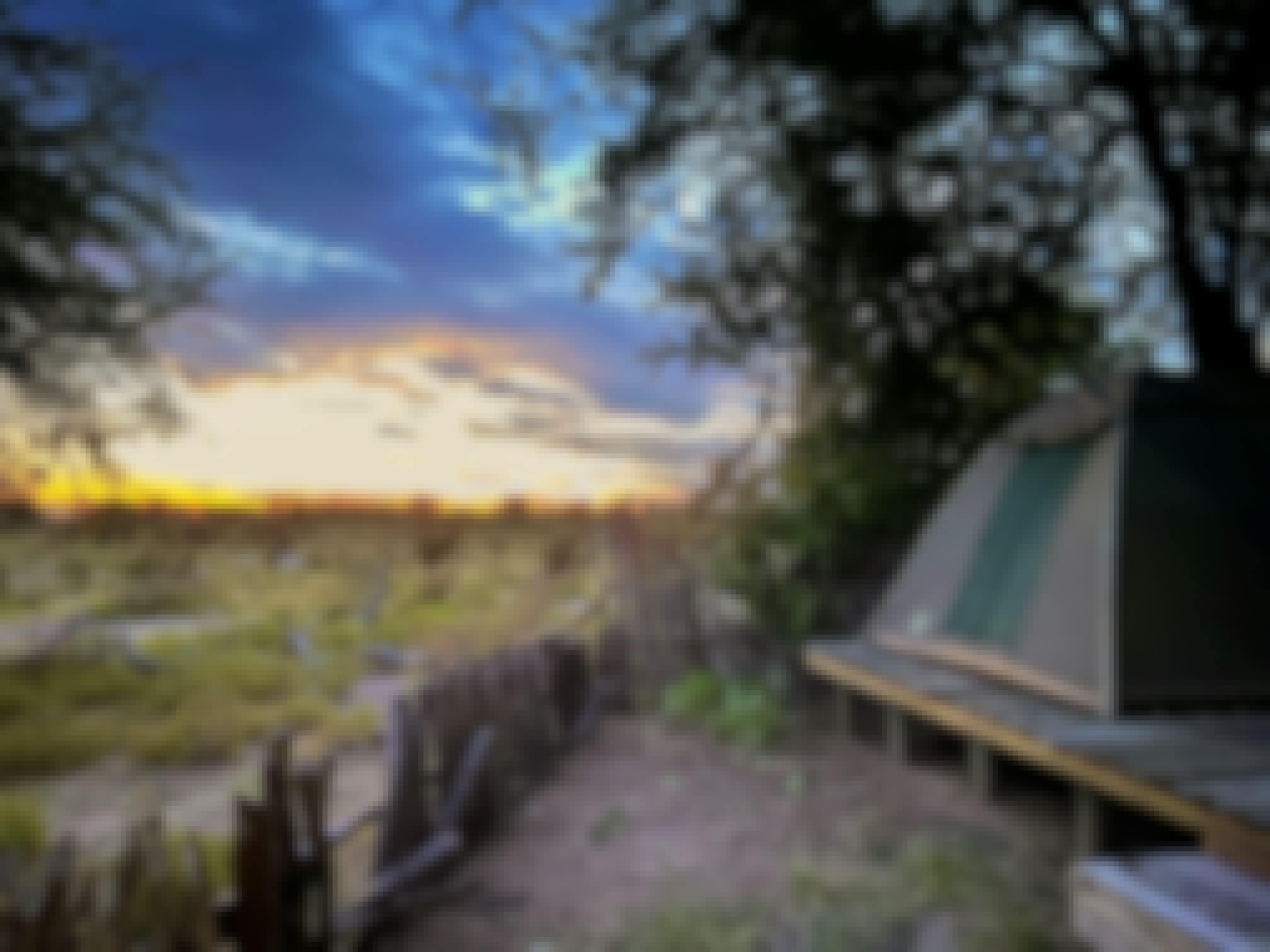 A landscape in the Okavango