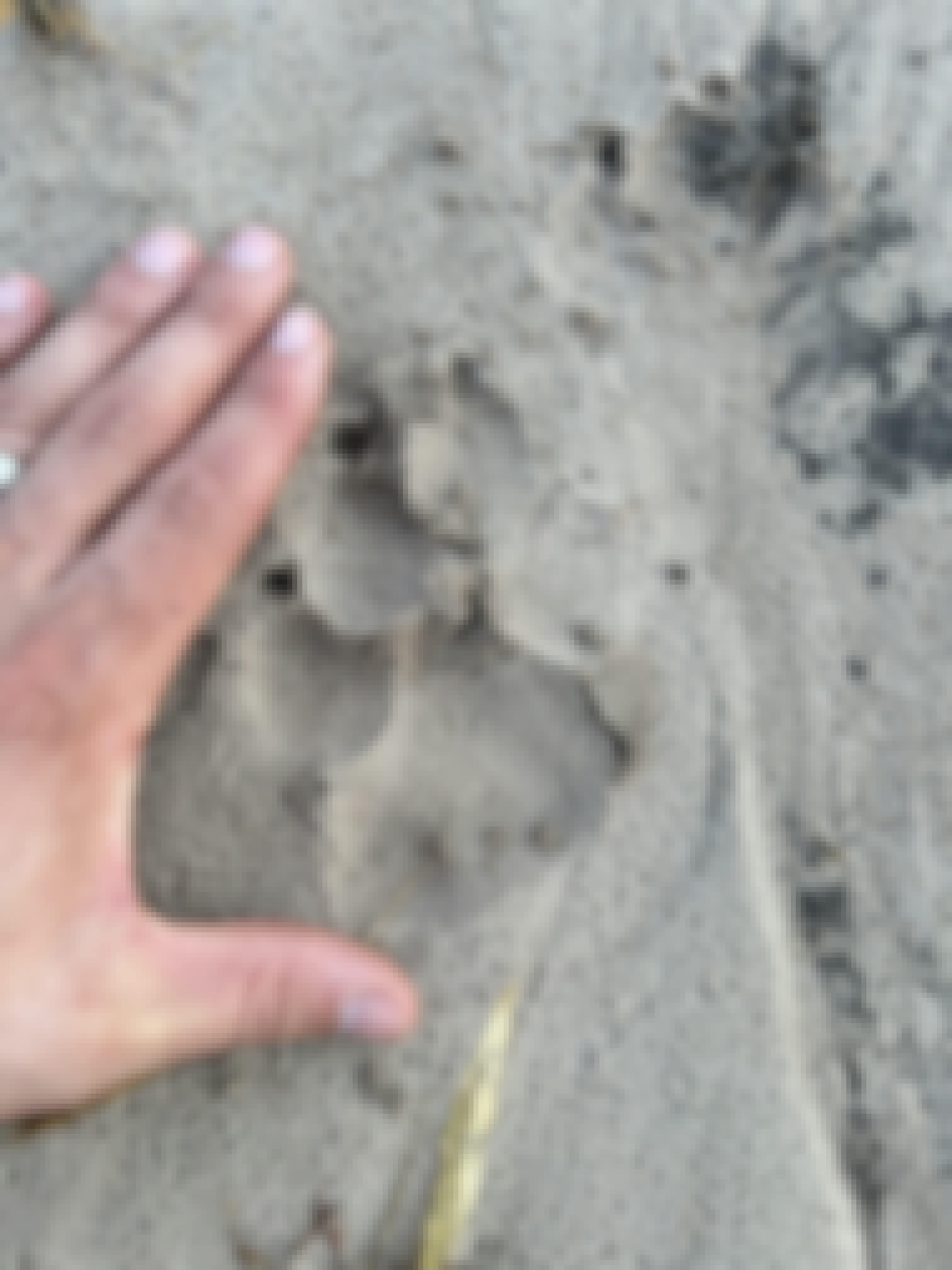 A hyena track in the Okavango