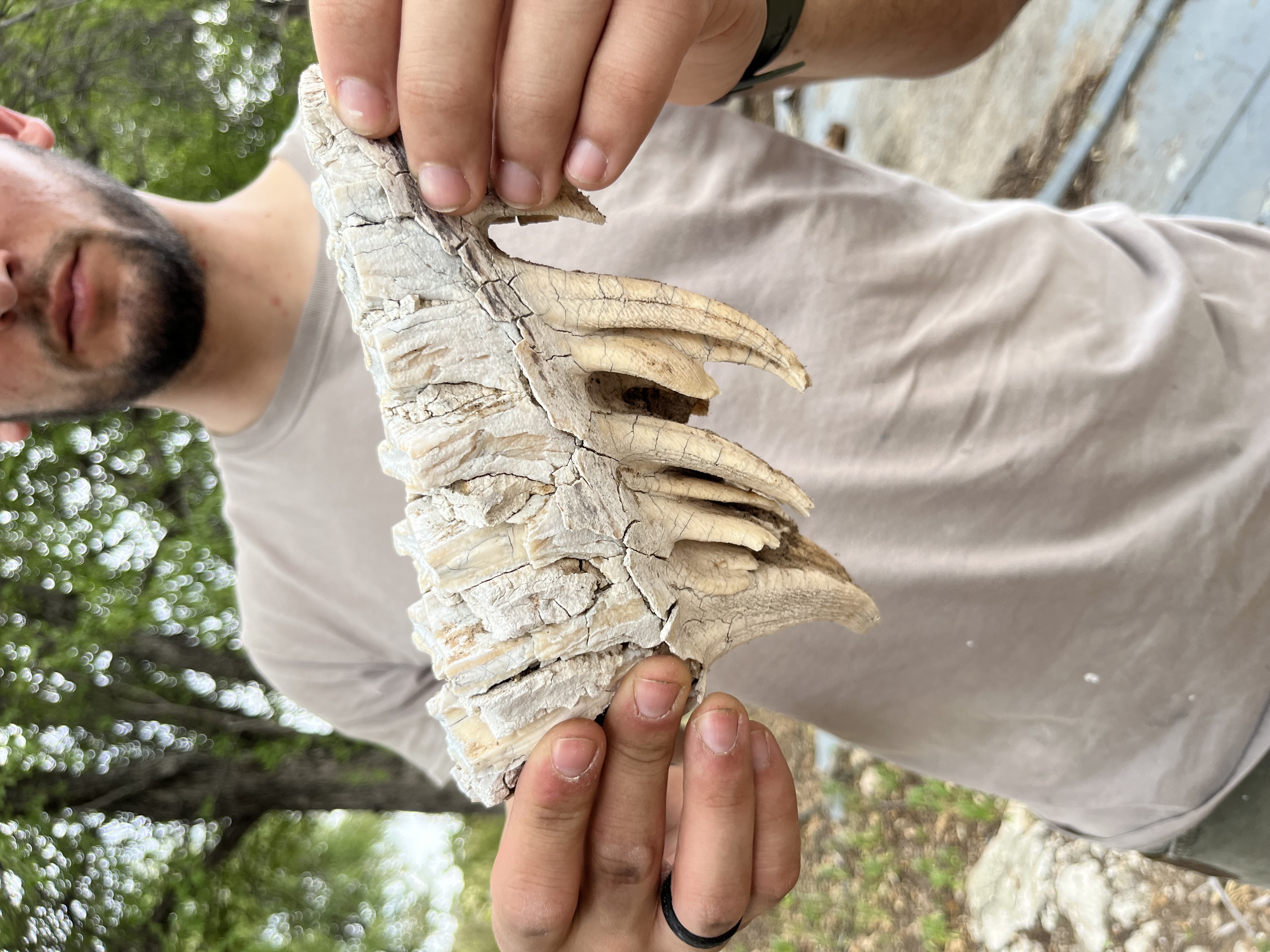 Josie and Adam: A fossil in the Okavango