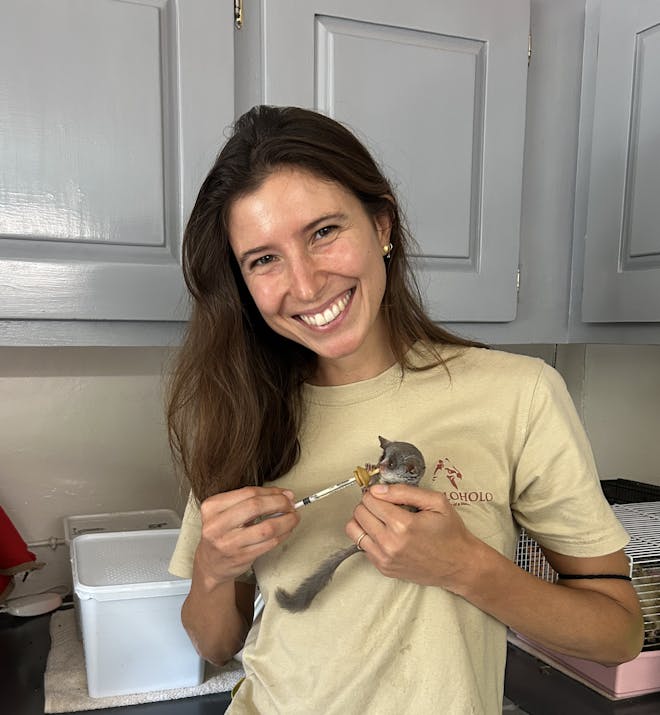 A girl bottle feeds a bushbaby at Moholoholo