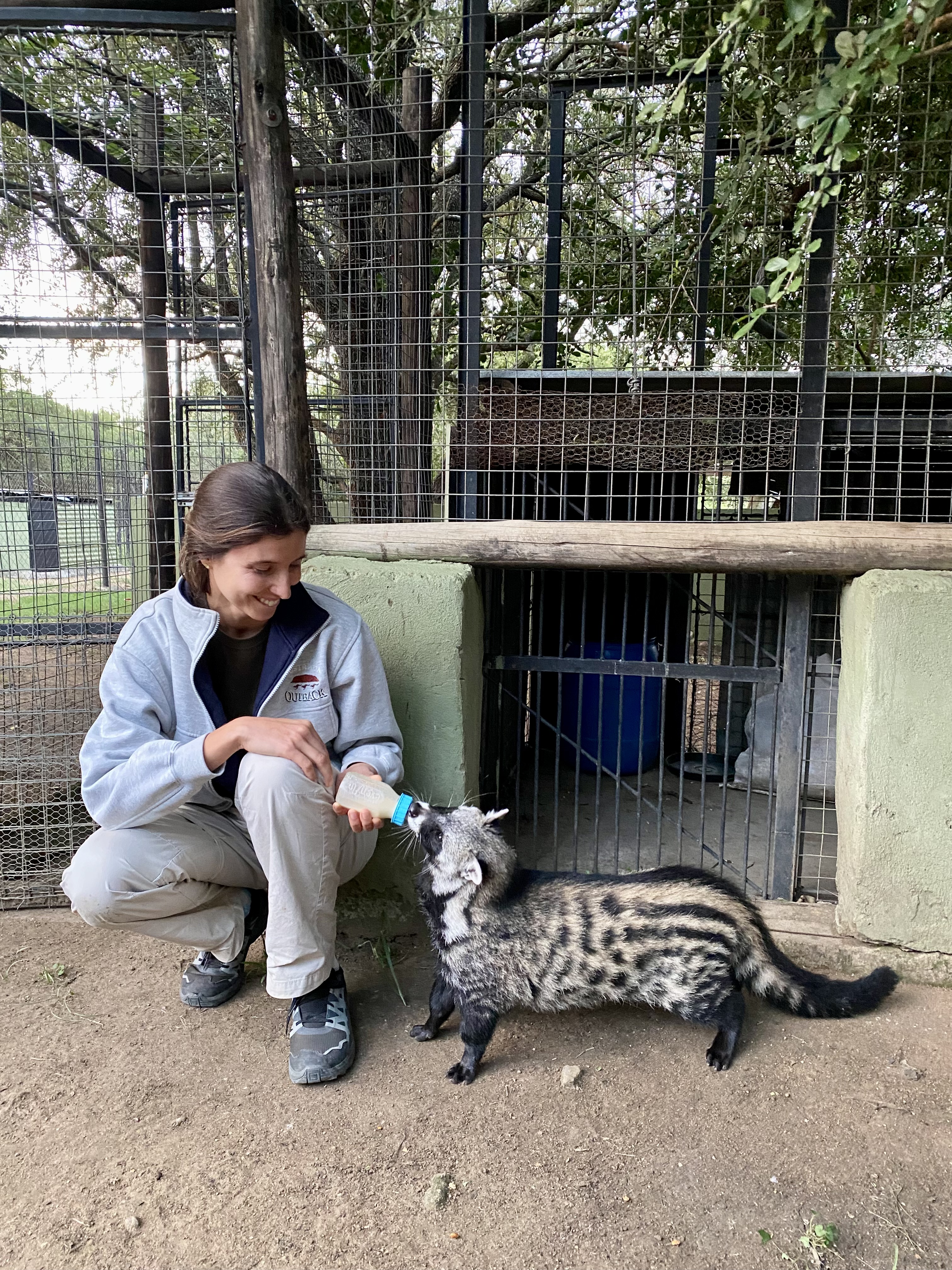 Marta Galofré de Alos: A girl bottle-feeds a civet at Moholoholo