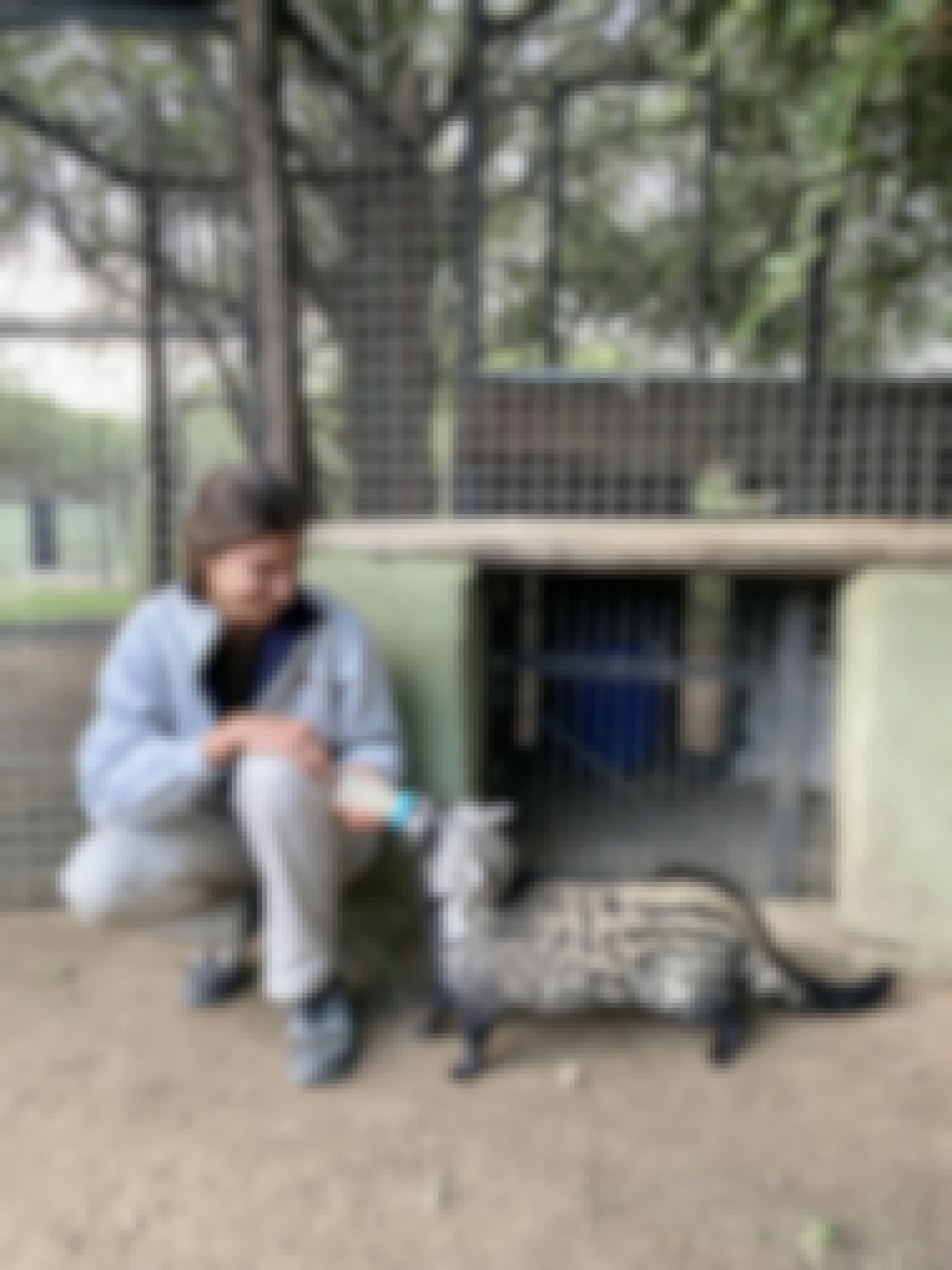 A girl bottle-feeds a civet at Moholoholo