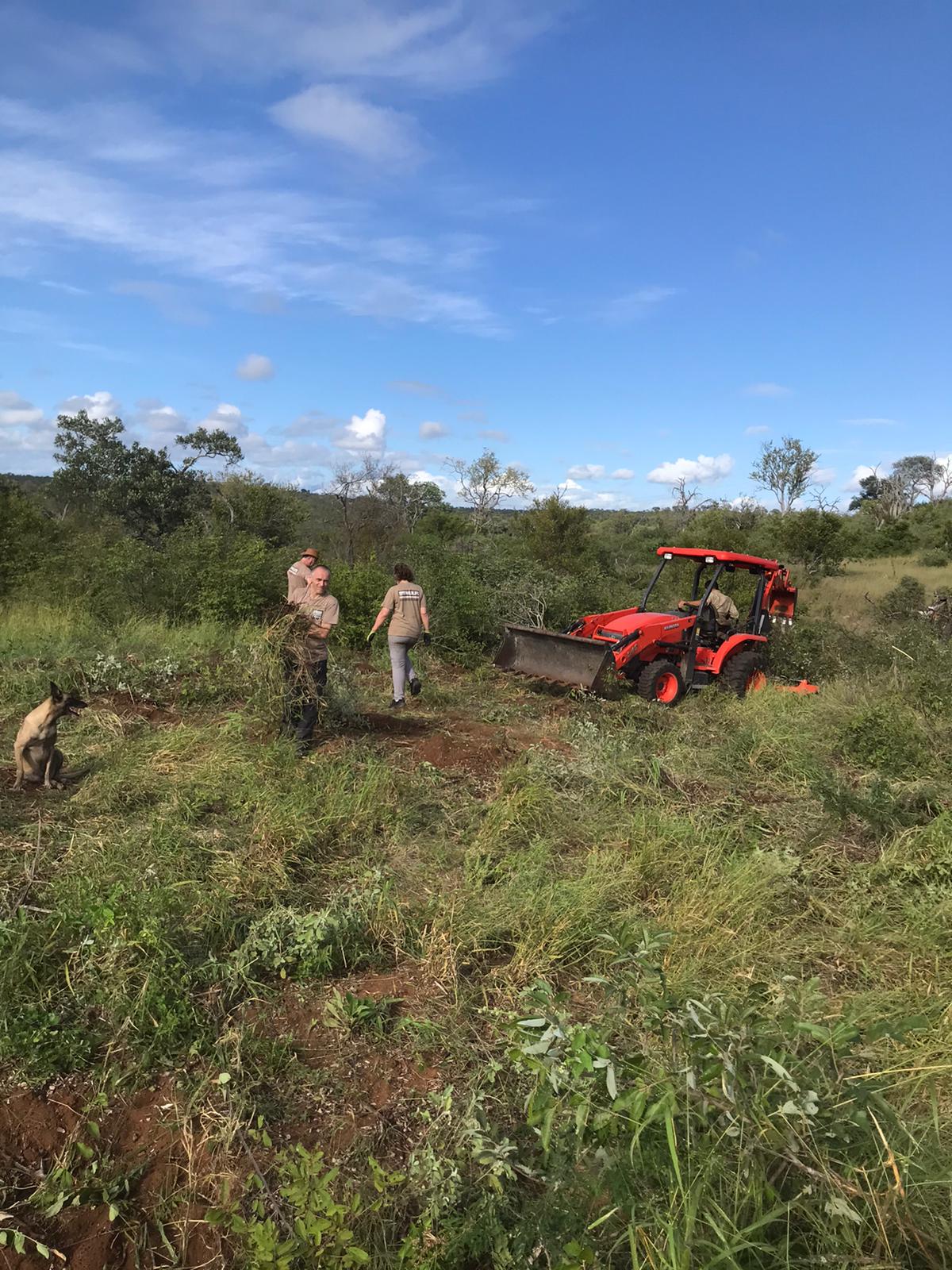 Michal Trawinski: Vegetation clearing at Moholoholo