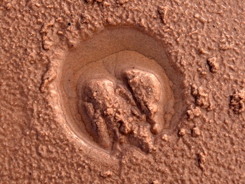 A photo a zebra track