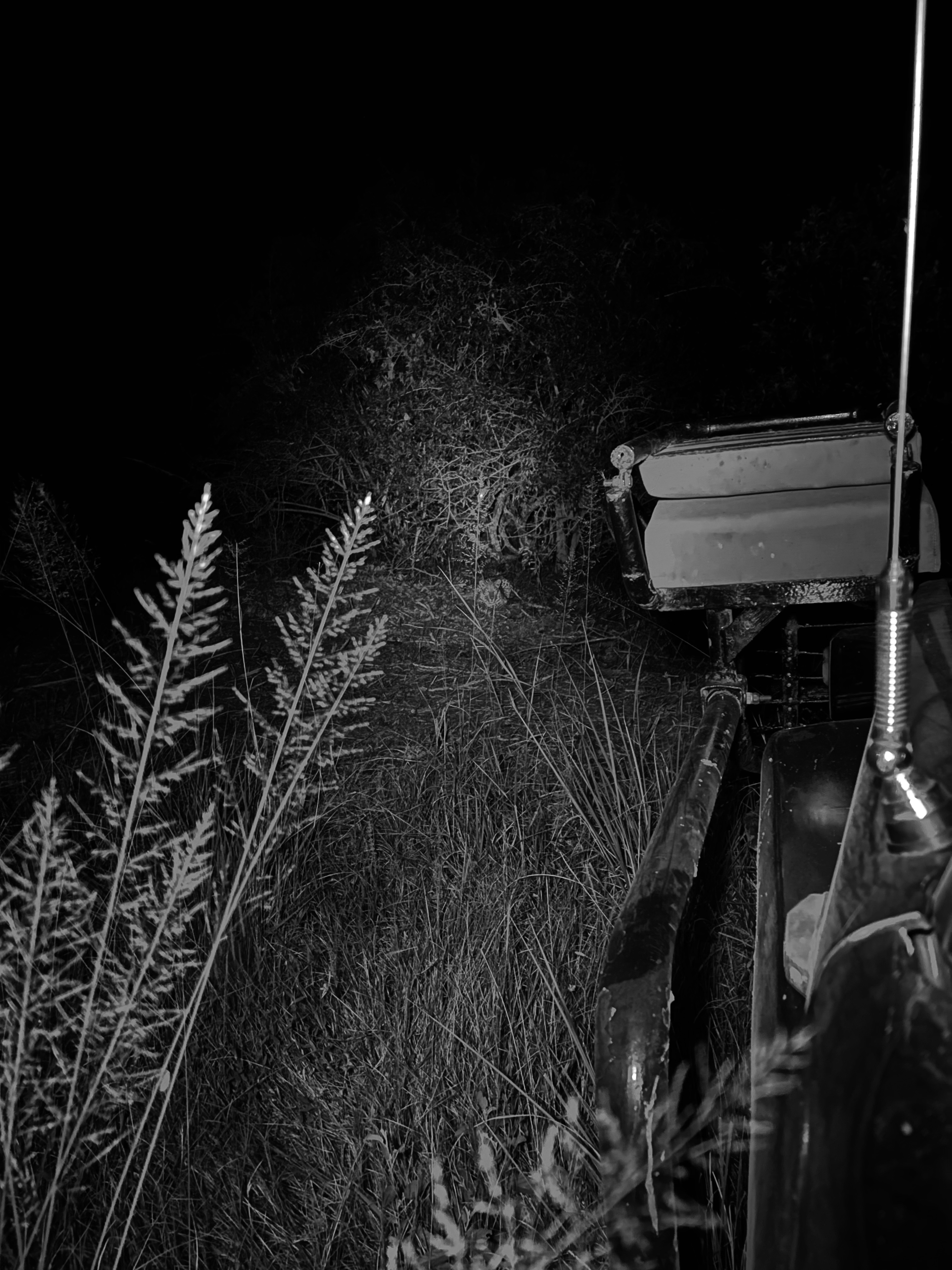 Alice Preston: A nighttime landscape