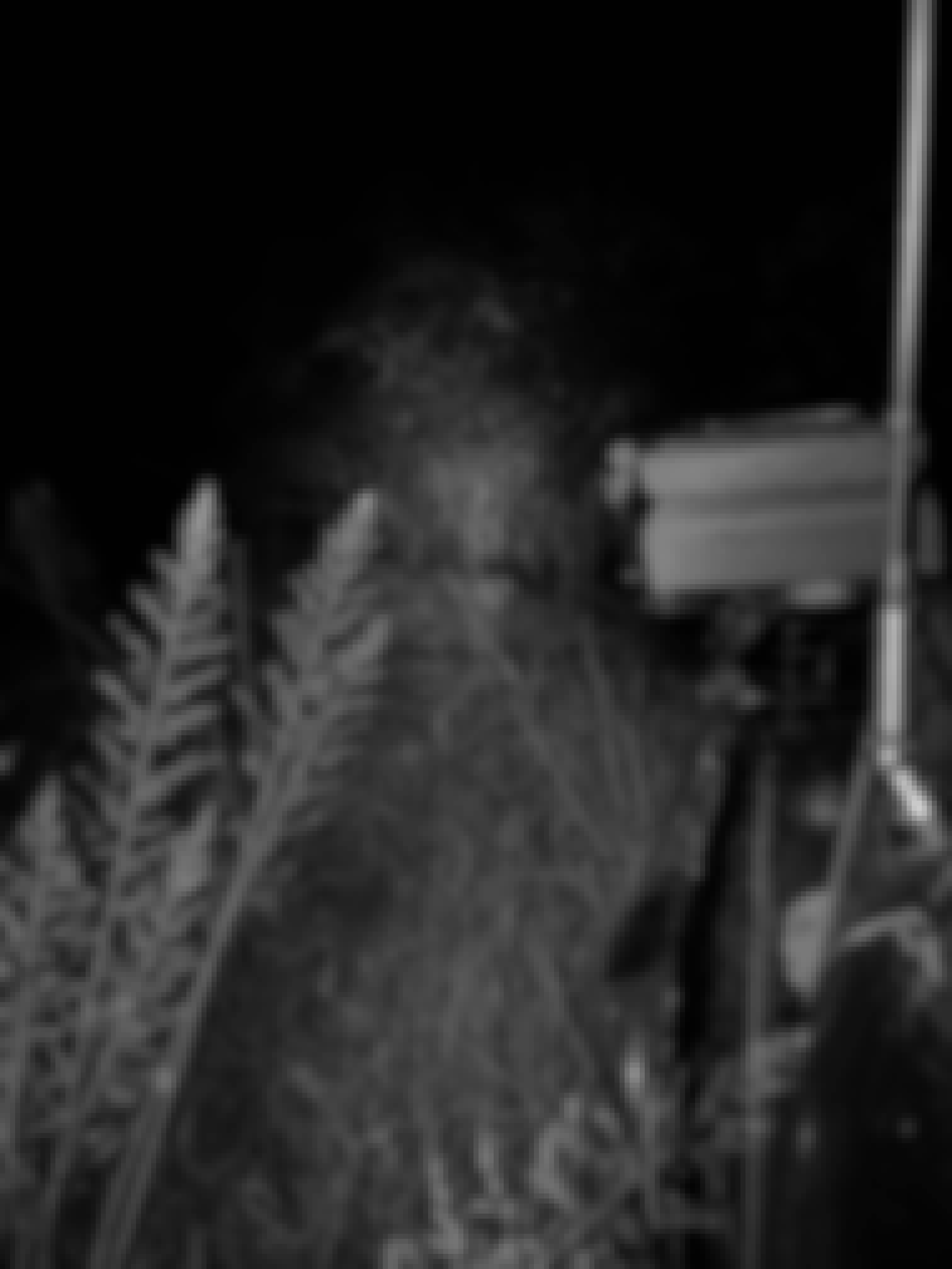 A nighttime landscape