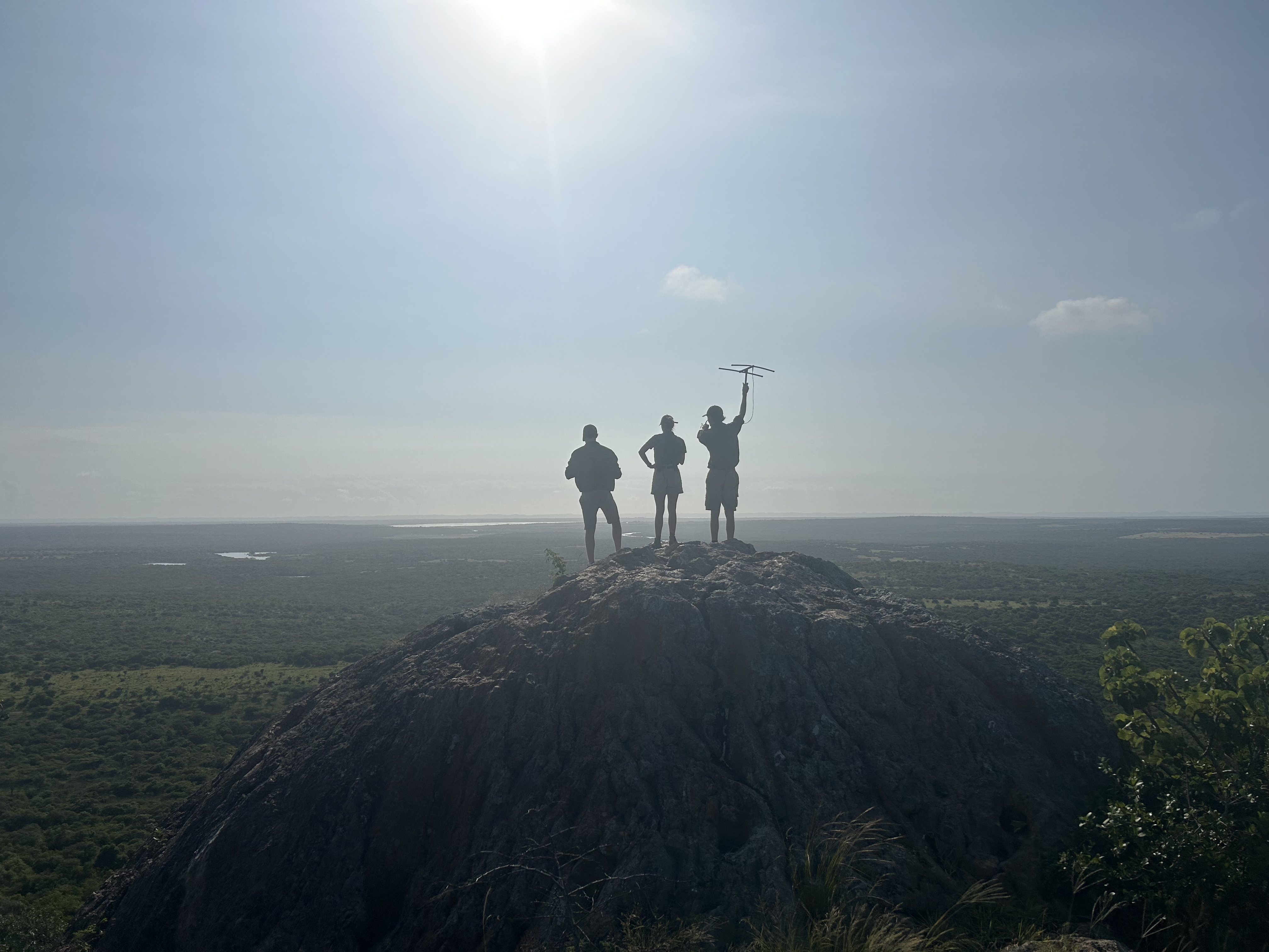 Alice Preston: Telemetry work at Phinda