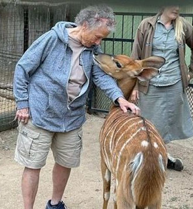 Jeanne Gray: Female ACE volunteer looking down at nyala