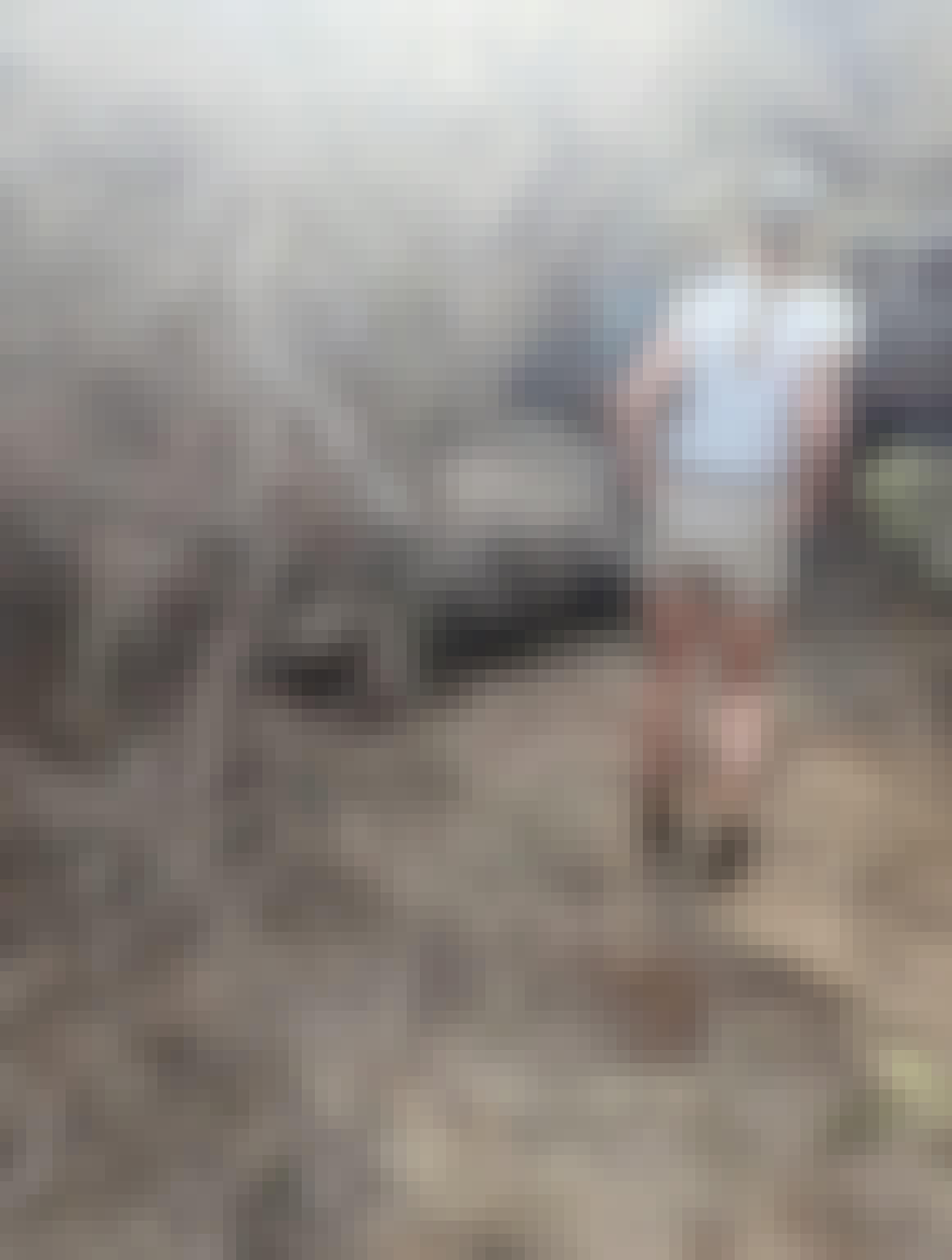 Nathalie Neumann: Female volunteer walking towards a sedated rhino