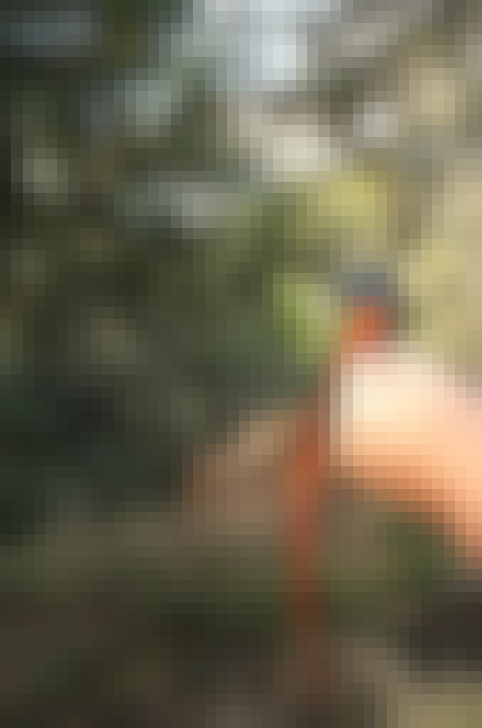 Nathalie Neumann: A bird on a volunteers hand