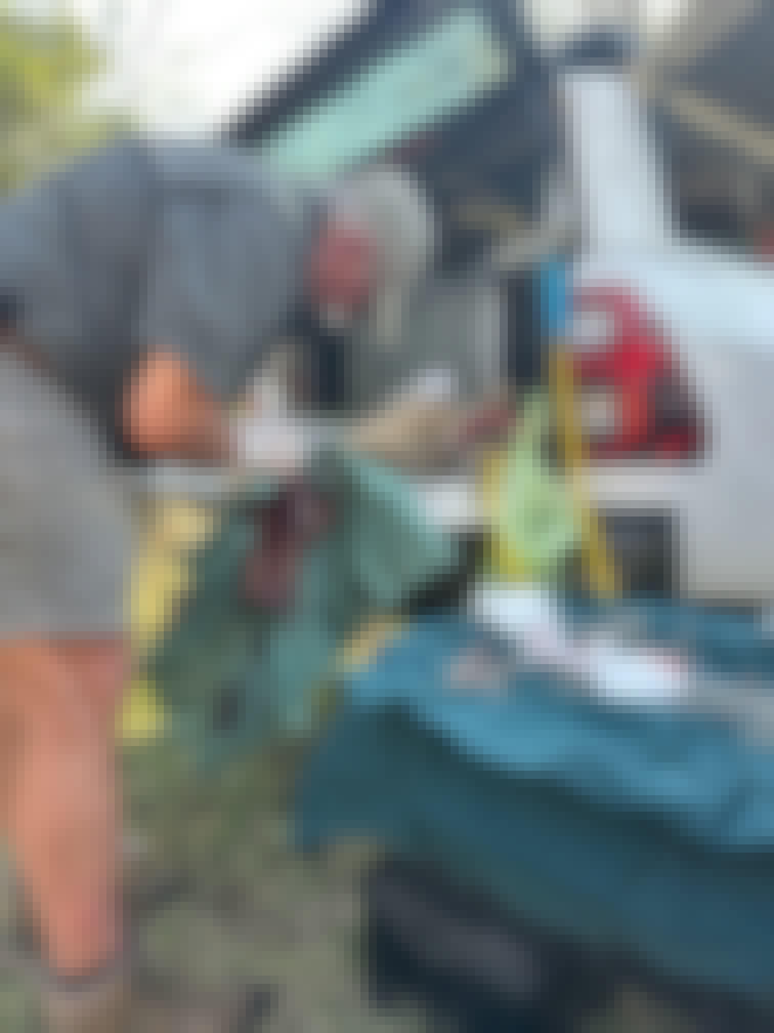 Payton McGarva: Vet operates on a cheetah