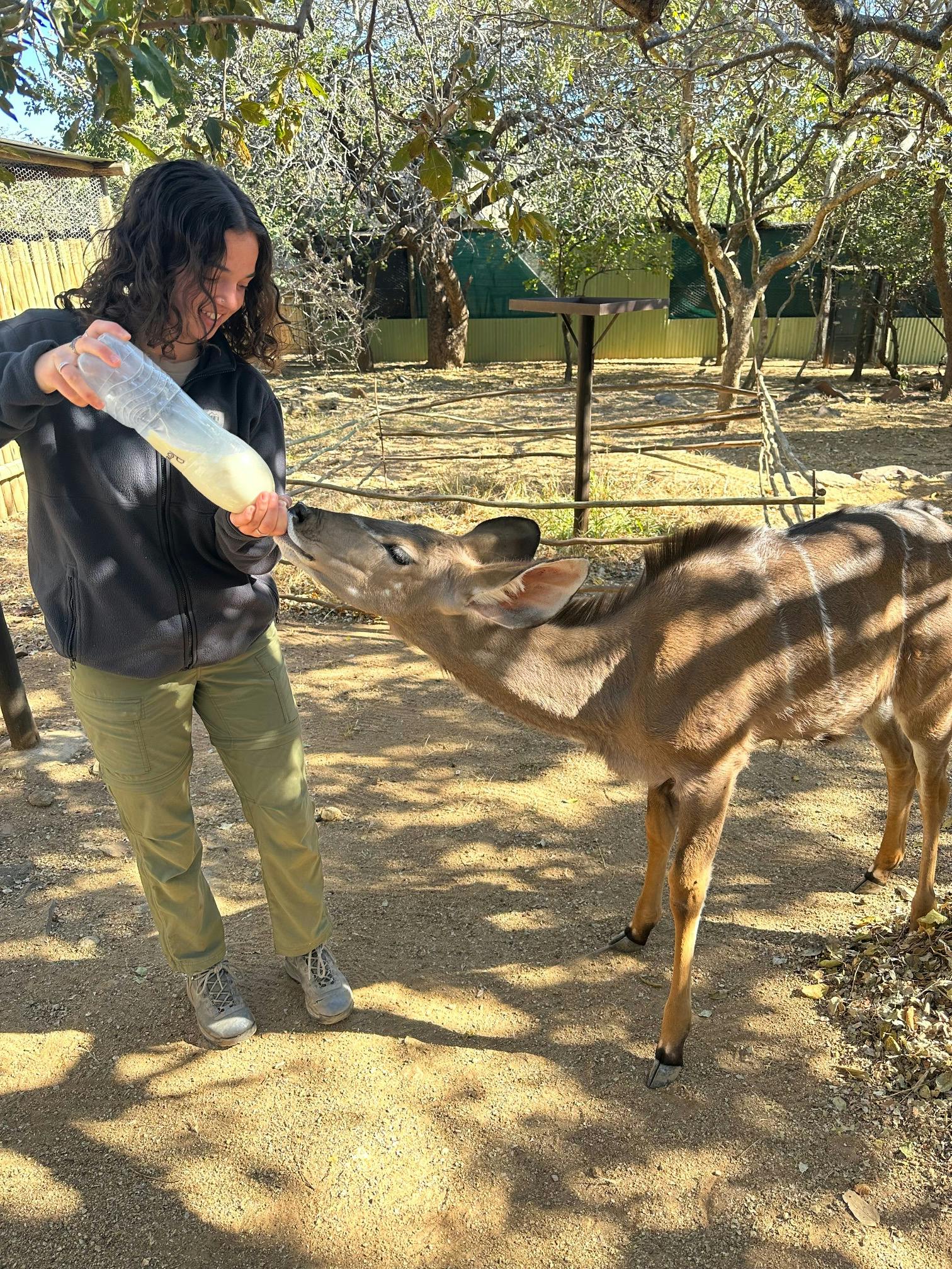 Payton McGarva: Bottle feeding an antelope