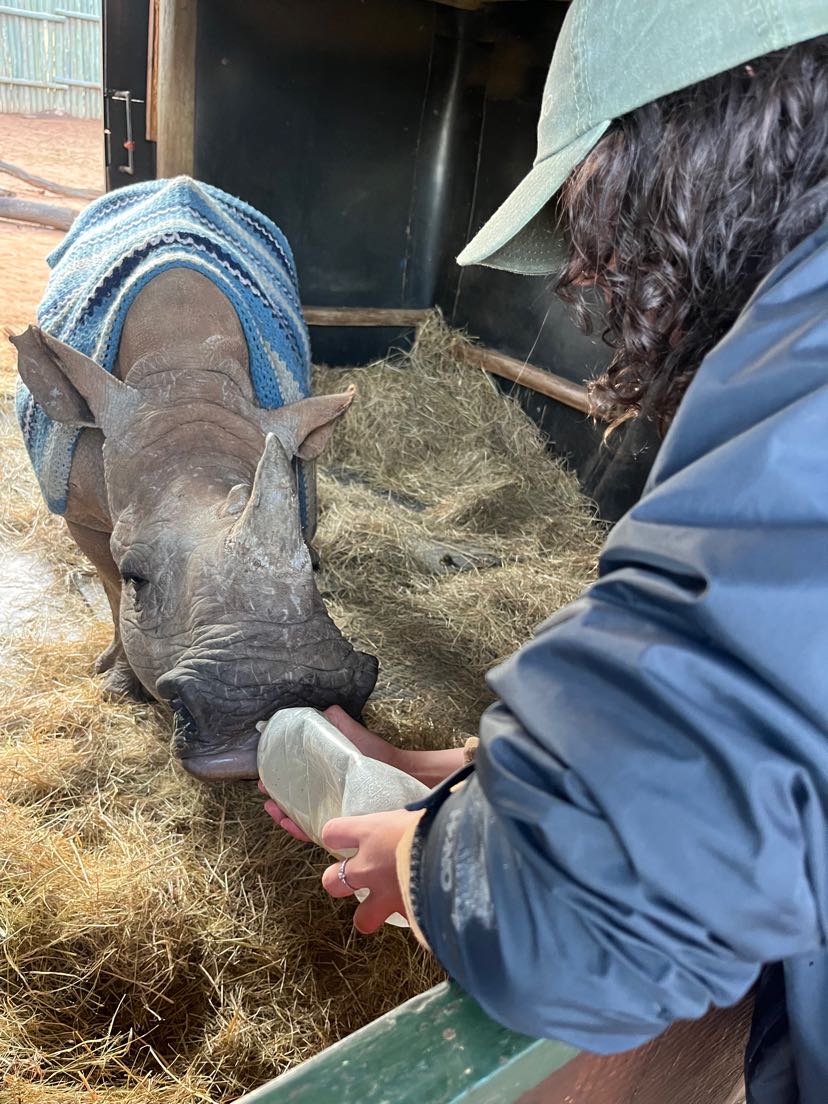 Payton McGarva: student feeding a baby rhino
