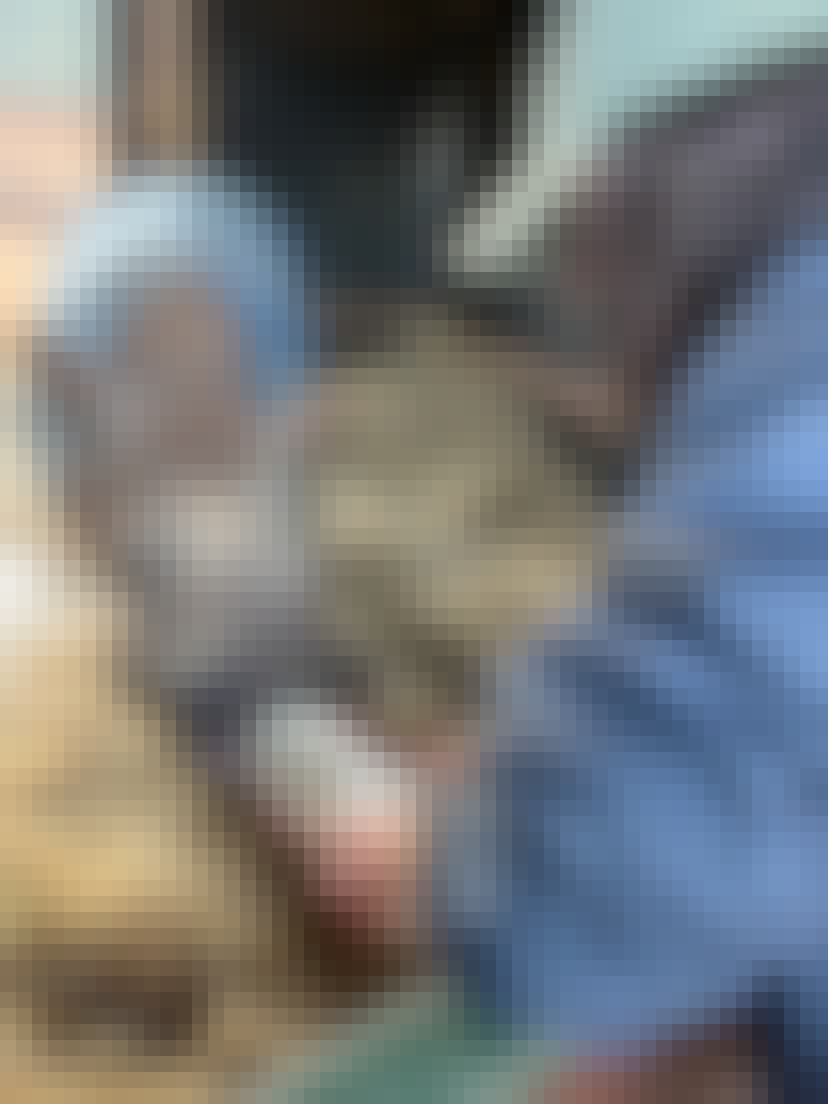Payton McGarva: student feeding a baby rhino