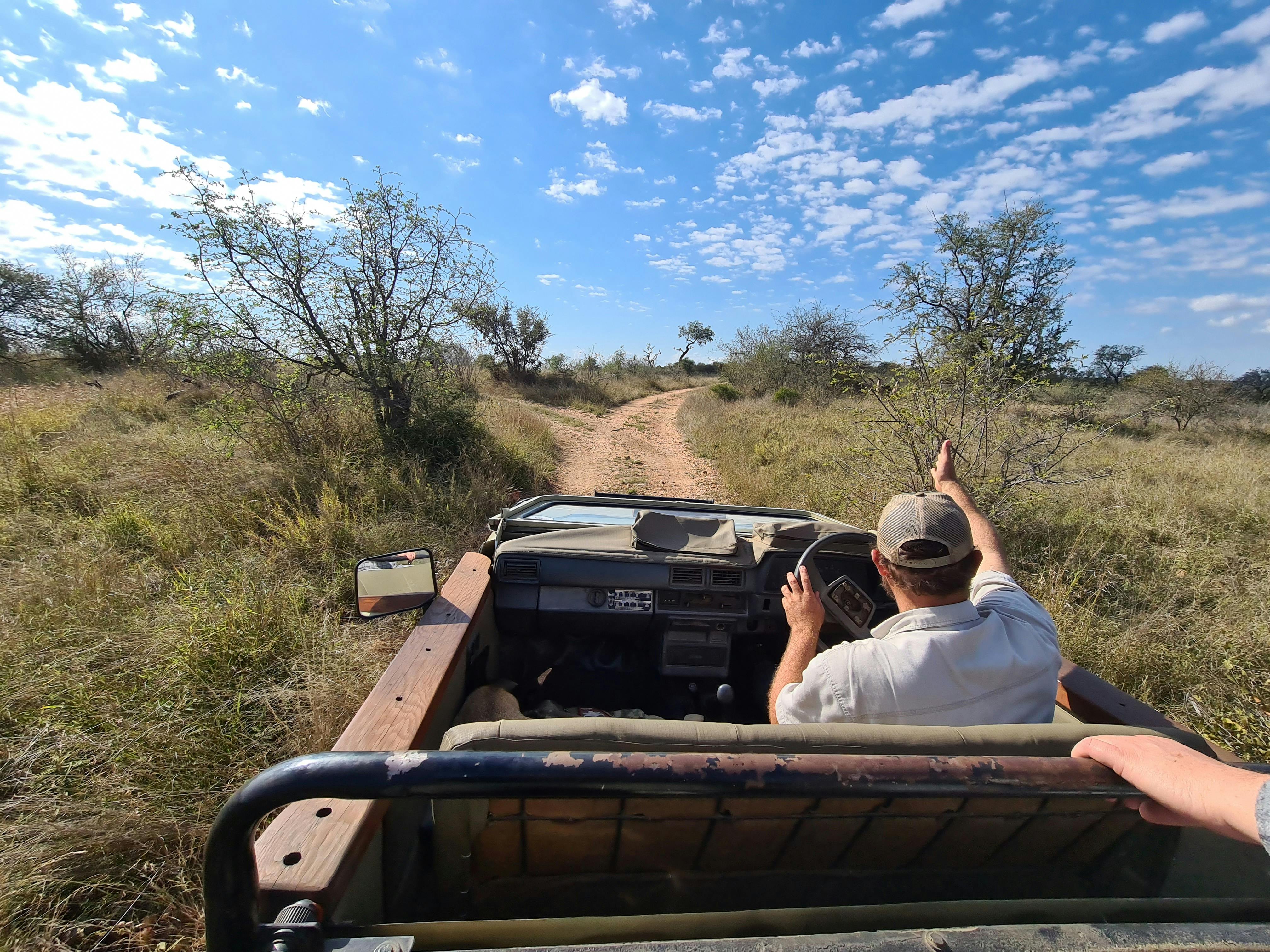 A guide driving in the Kruger national park