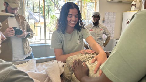 Payton McGarva: Moholoholo Rehabilitation Centre