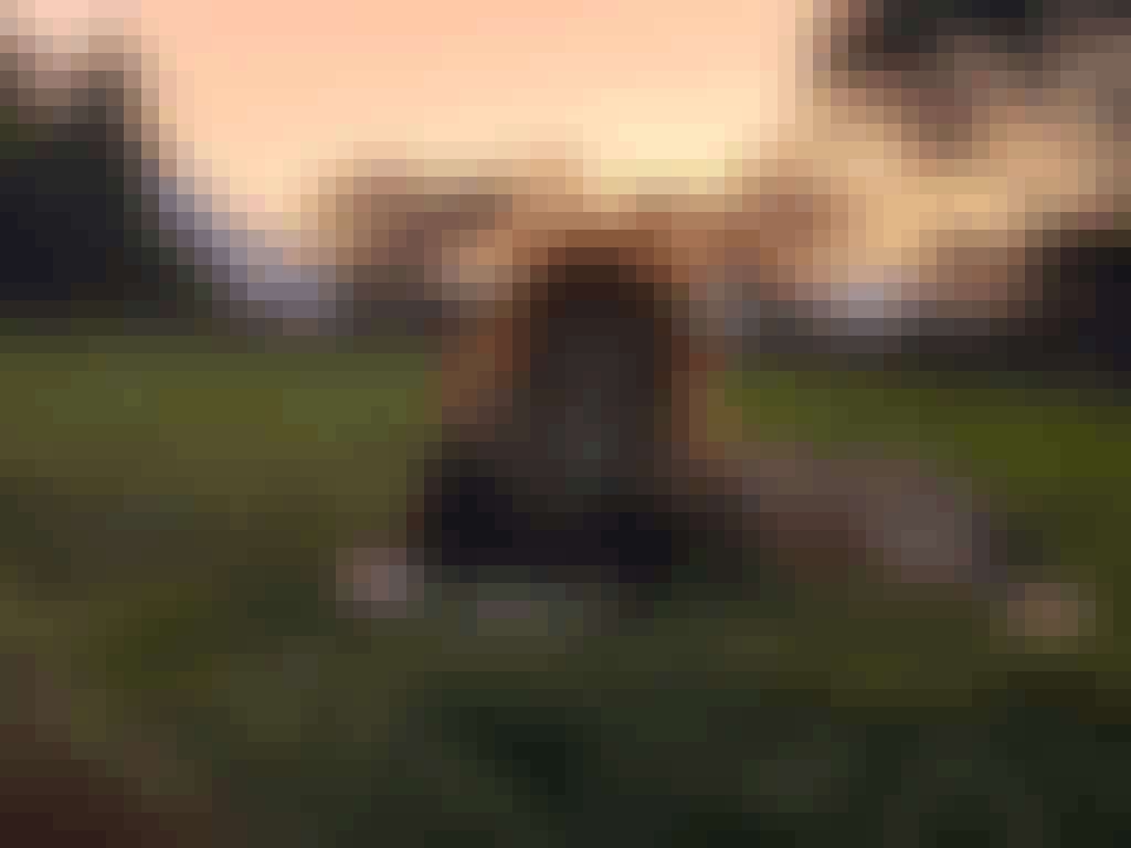 A male lion in front of a sunset