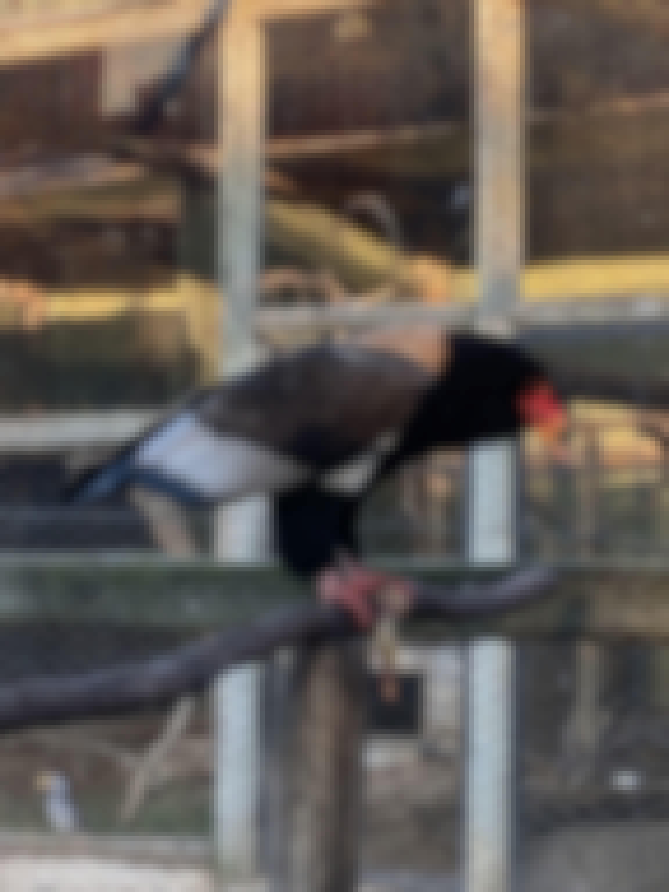 A bird perched on a stick