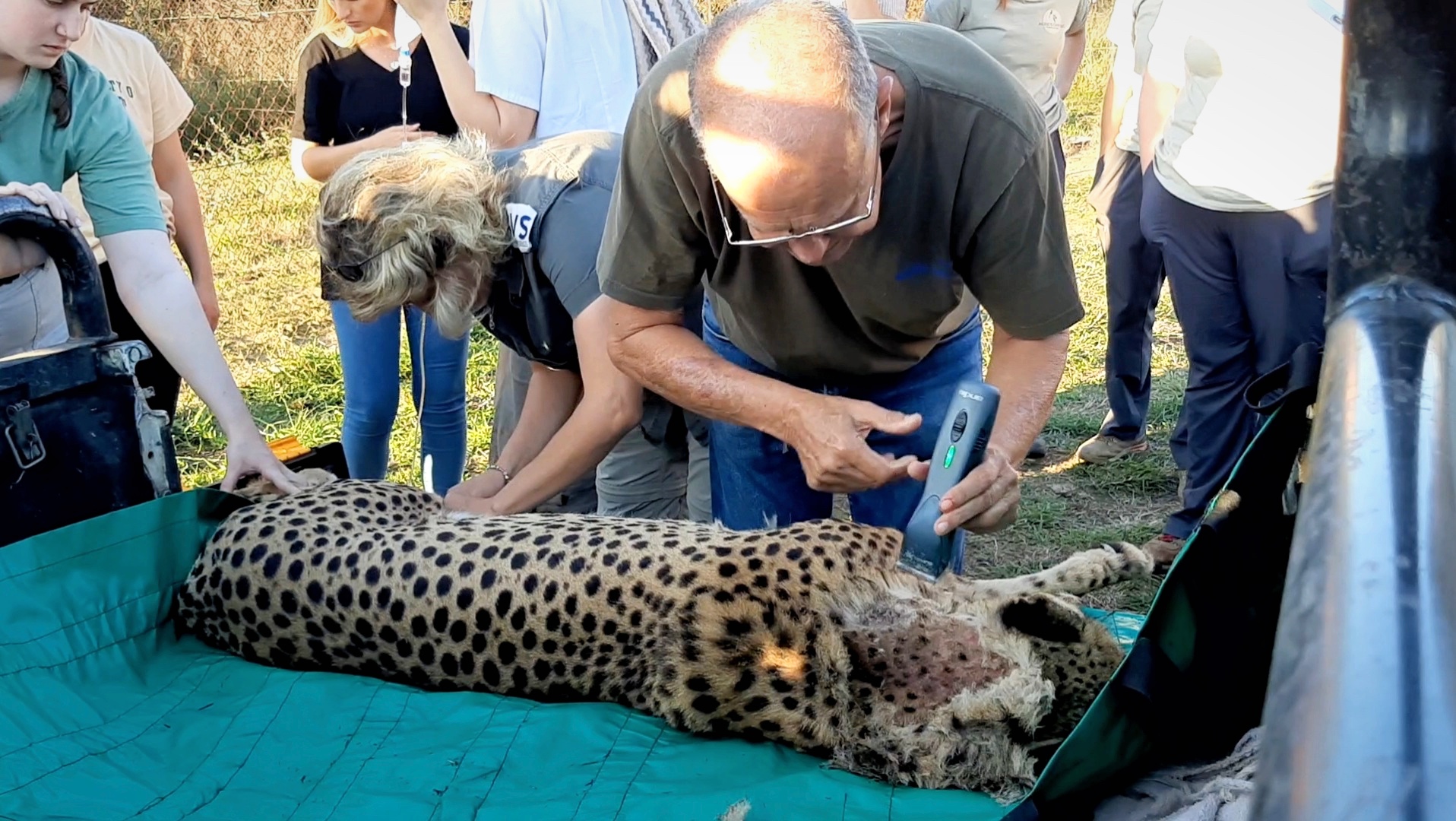 Cassidy McKinlay: Veterinary Practice