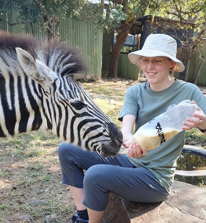 Cassidy McKinlay: Bottle Feeding Zebra at Moholoholo