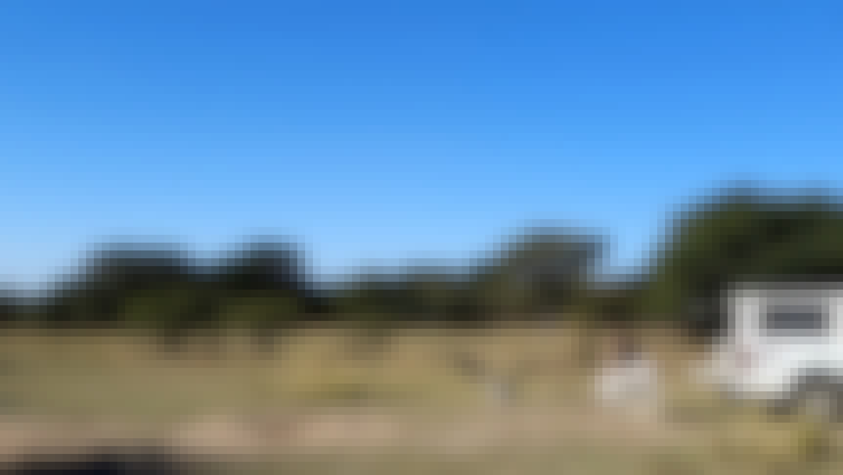 Cassidy McKinlay: Vulture Release at Moholoholo