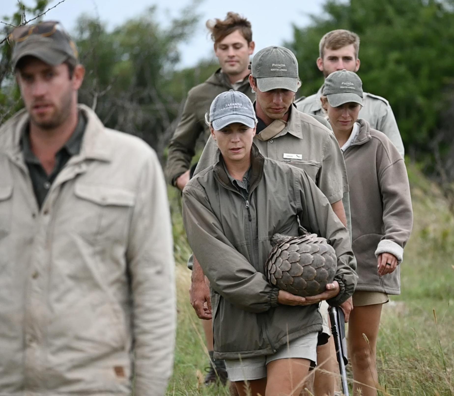 The team at Phinda walk with a pangolin