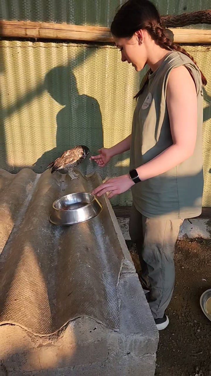 A female student feeds an owl