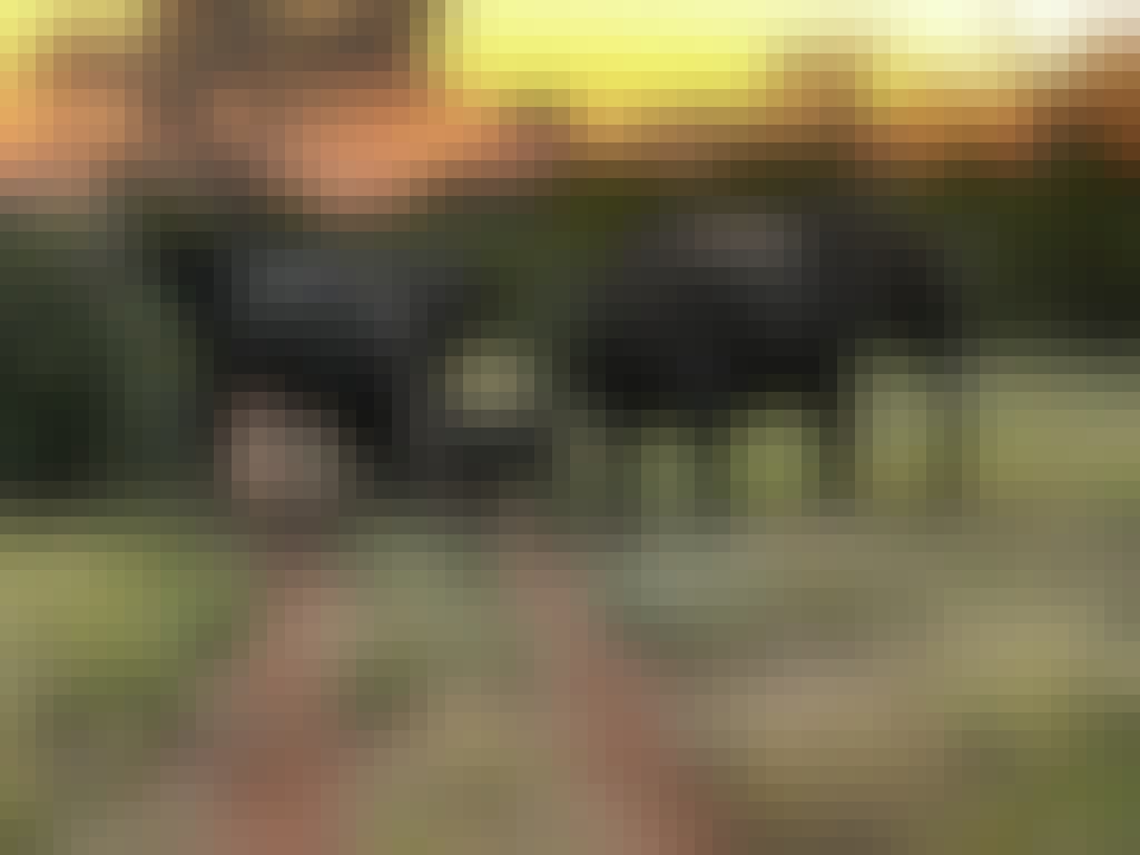 A family of elephants walking across the tracks
