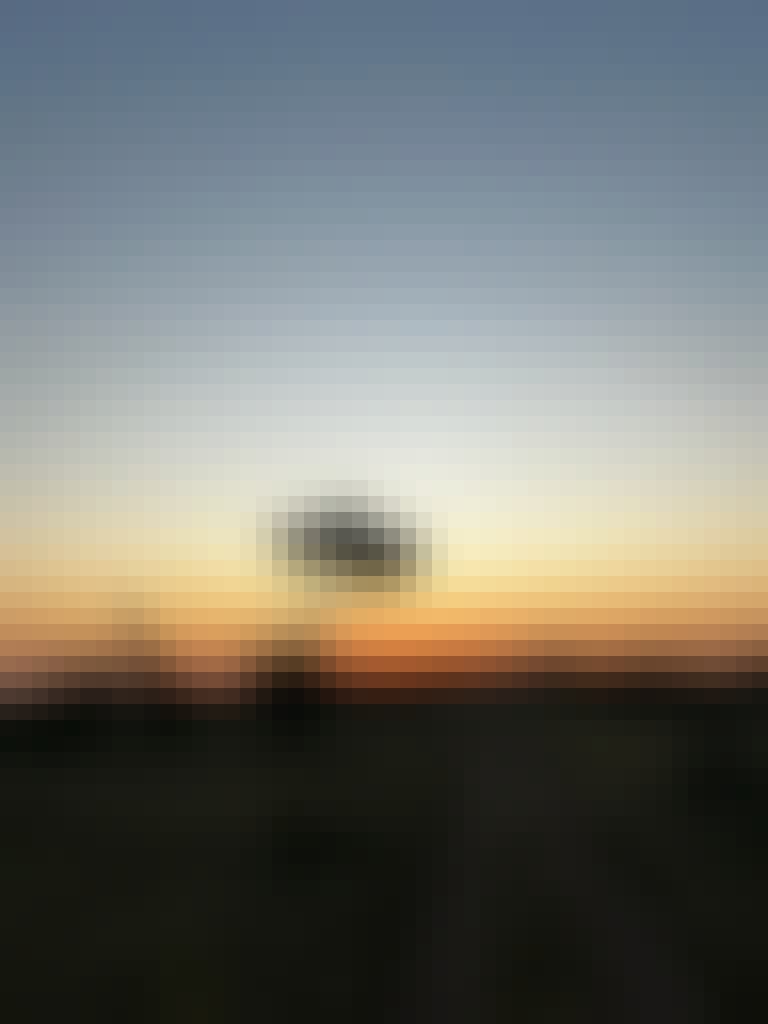 a silhouette of a giraffe and tree  