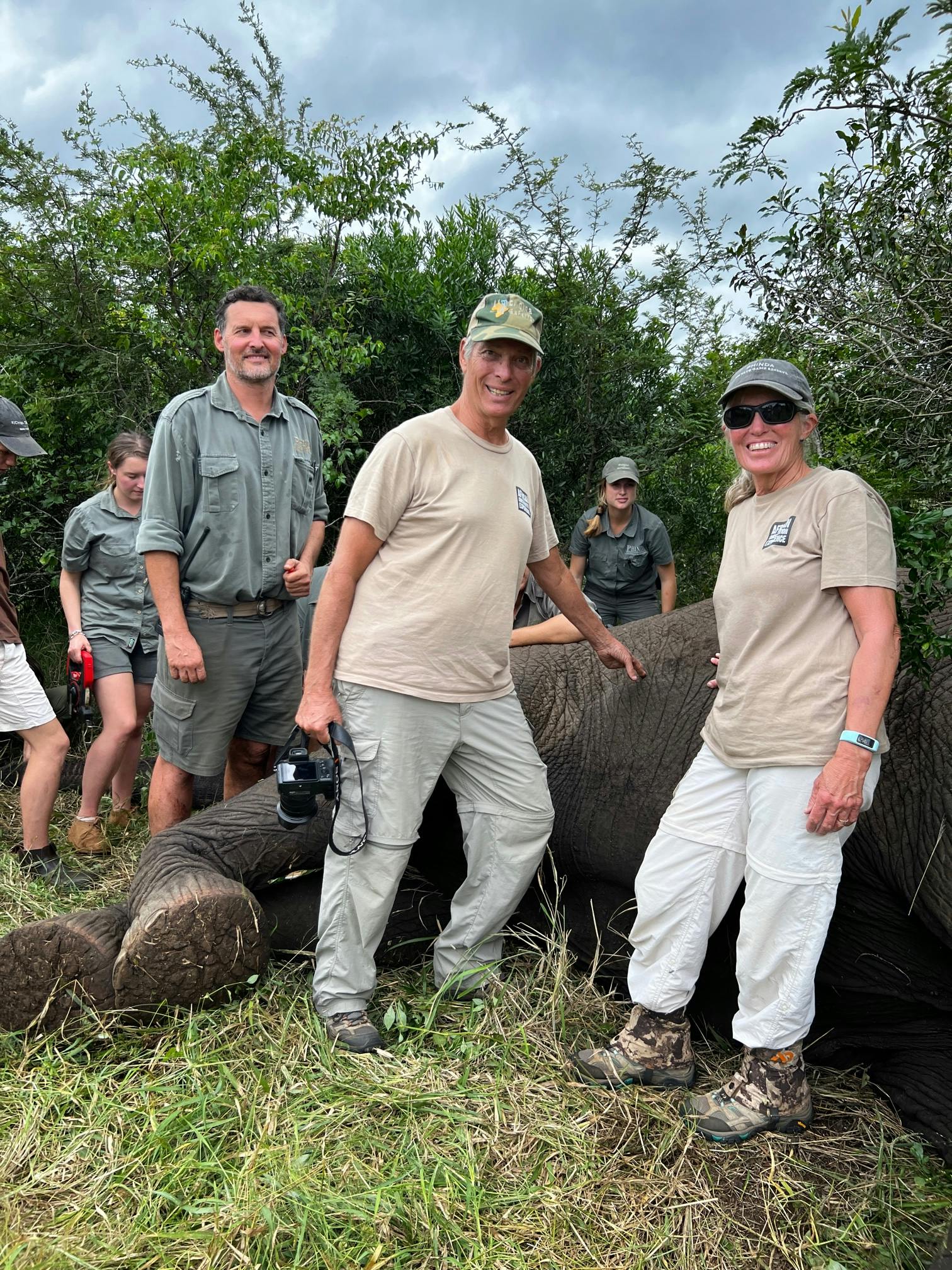 A man and woman stand in front of a sedated elephant
