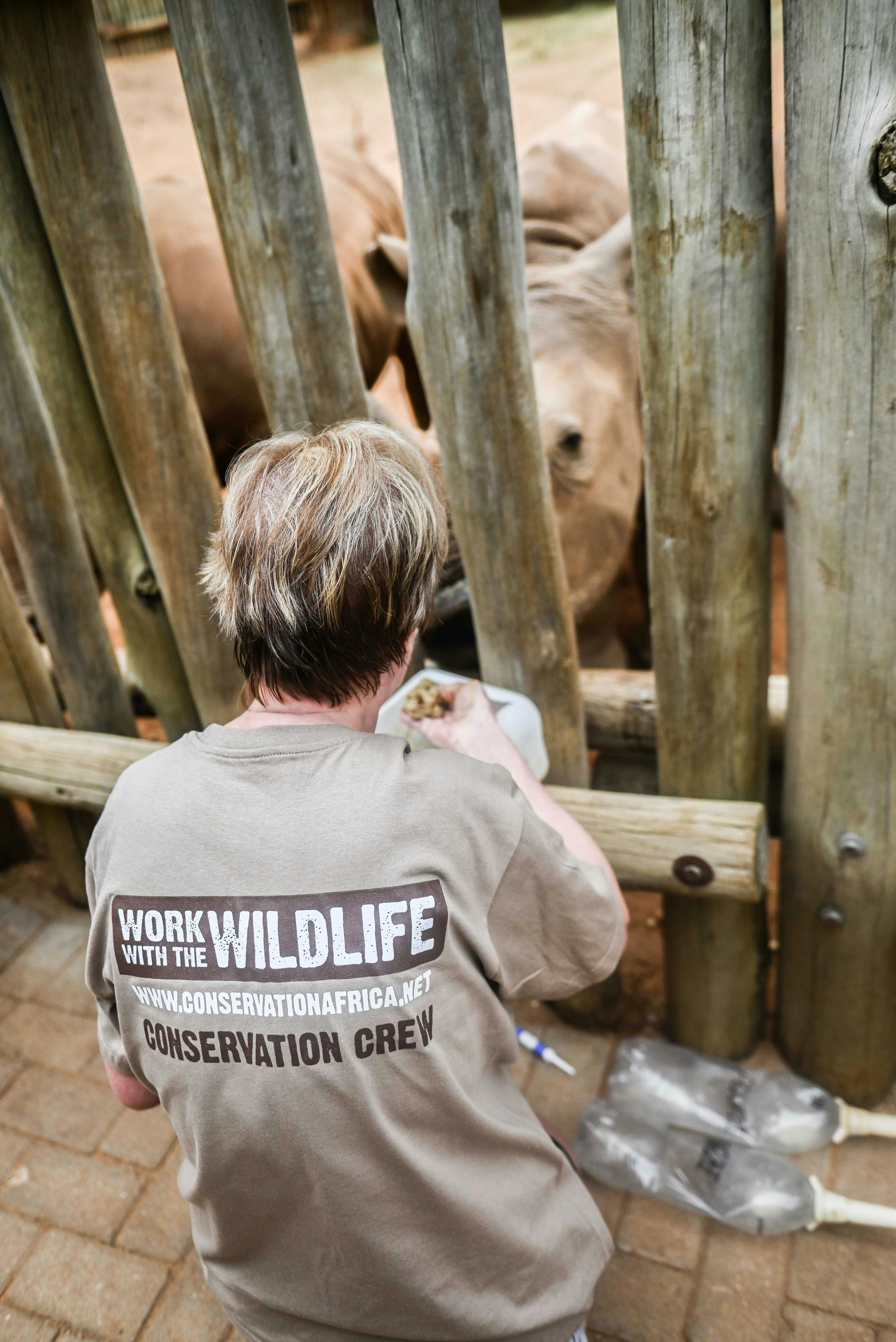 Norma Falconer: feeding the rhinos at Care For Wild Africa