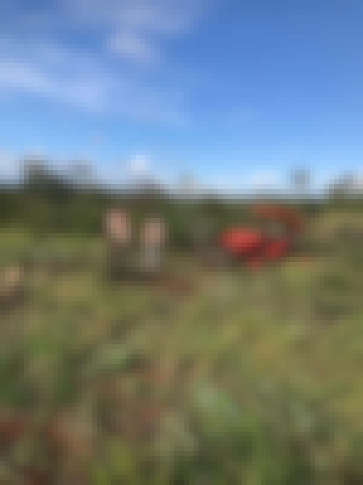 A group working on the land