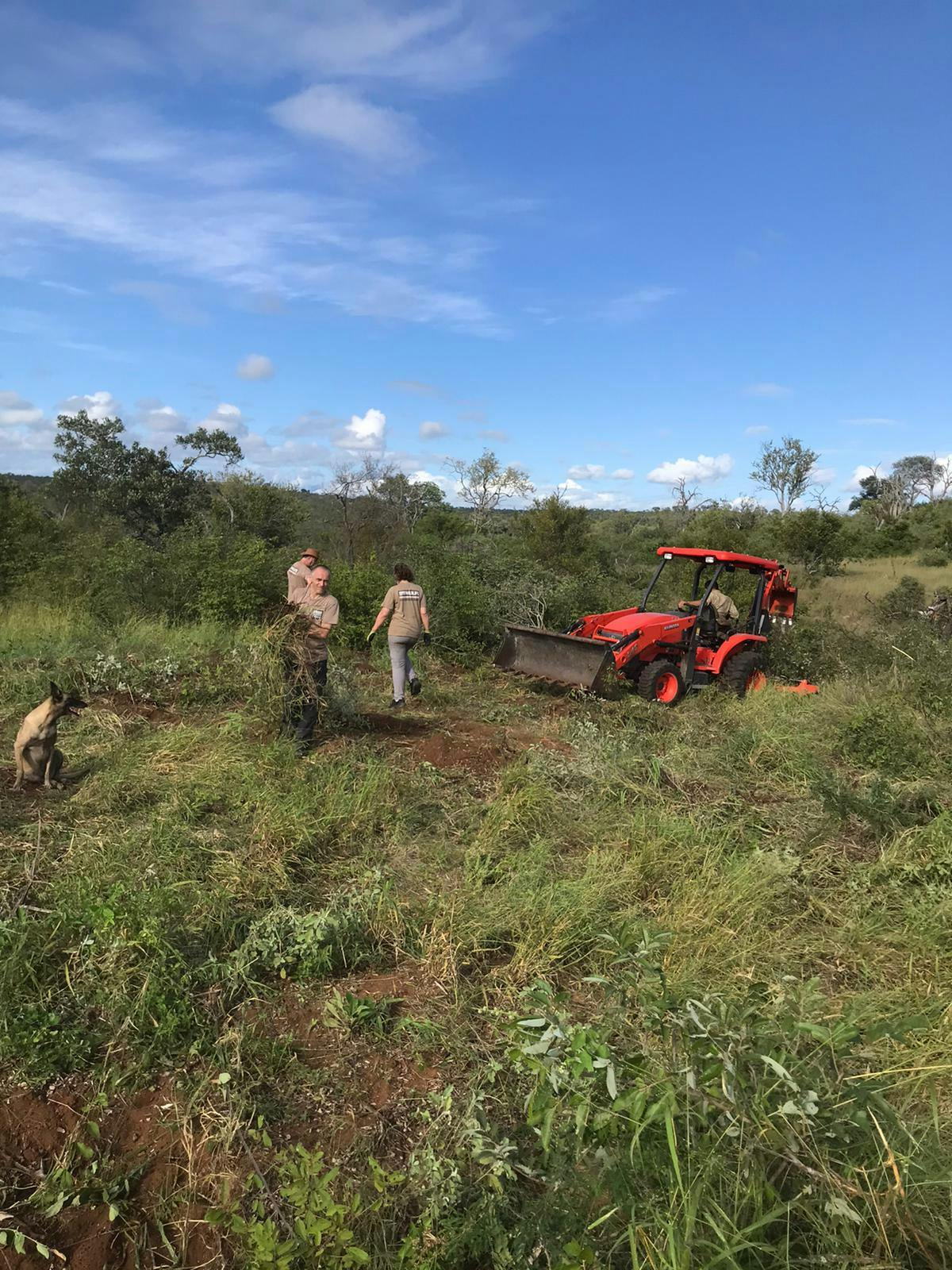 A group working on the land