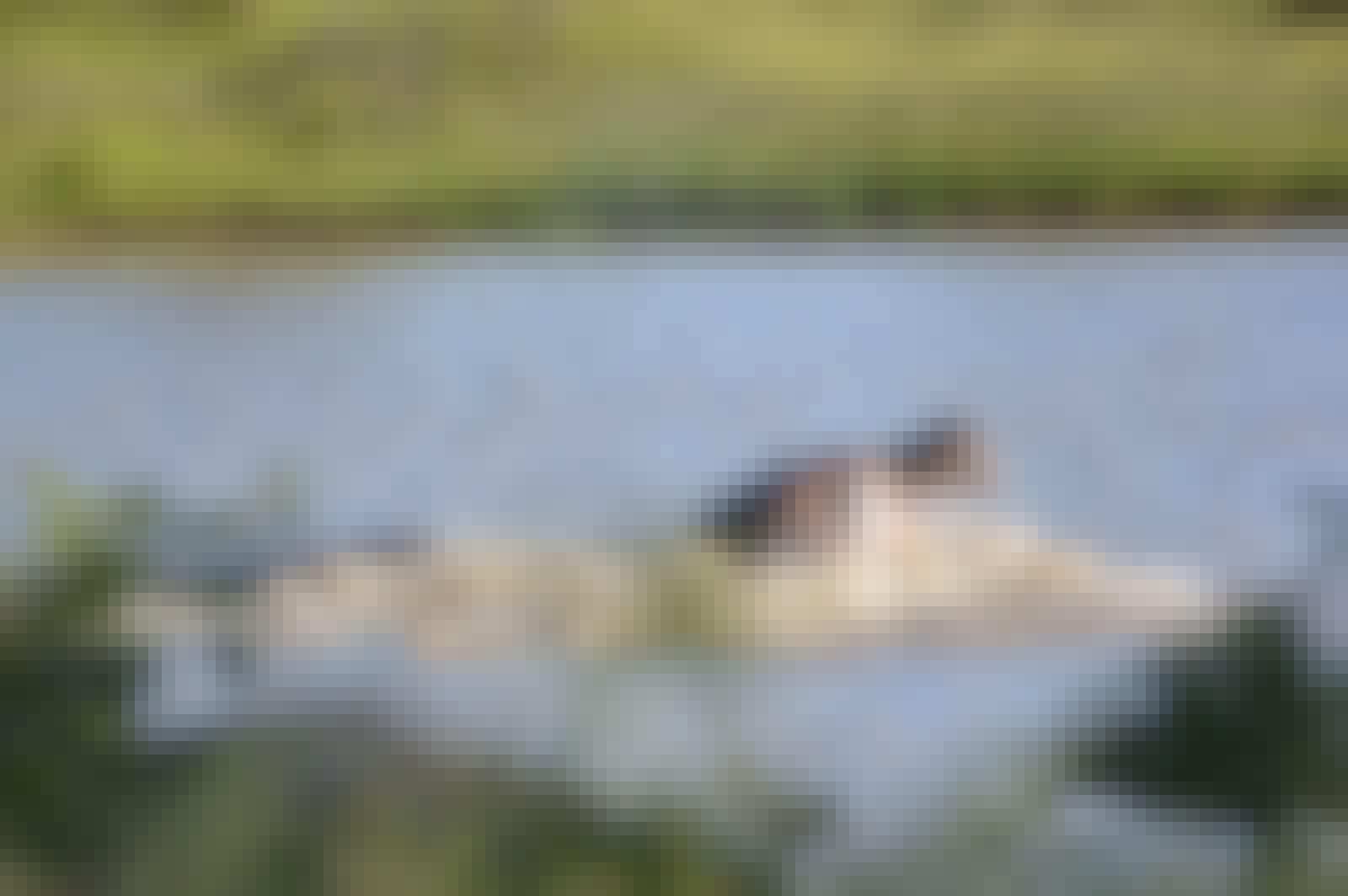 A hippo swims through a lake