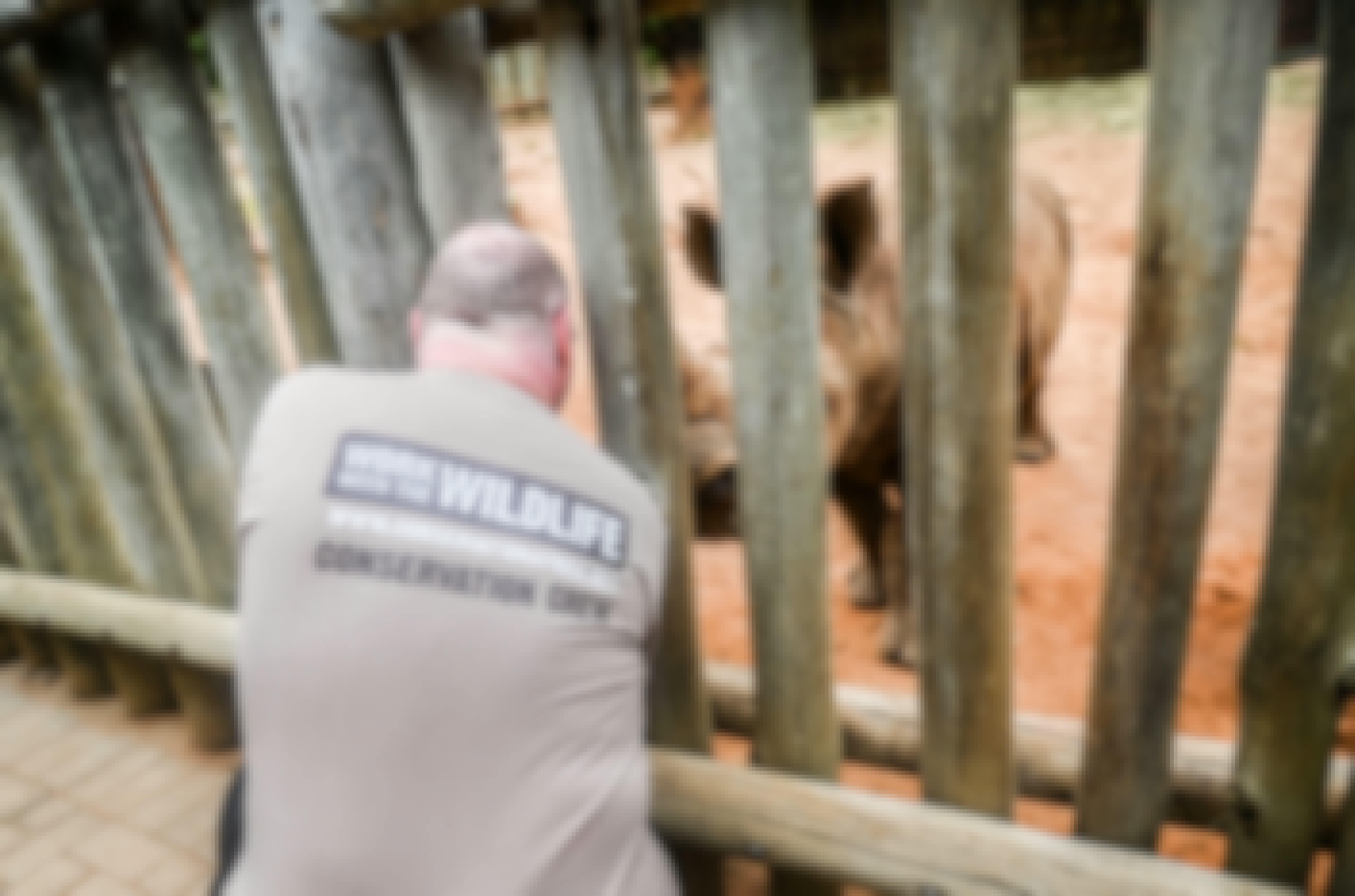Terence and Victoria Fitzpatrick: bottle feeding a rhino at Care for Wild Africa