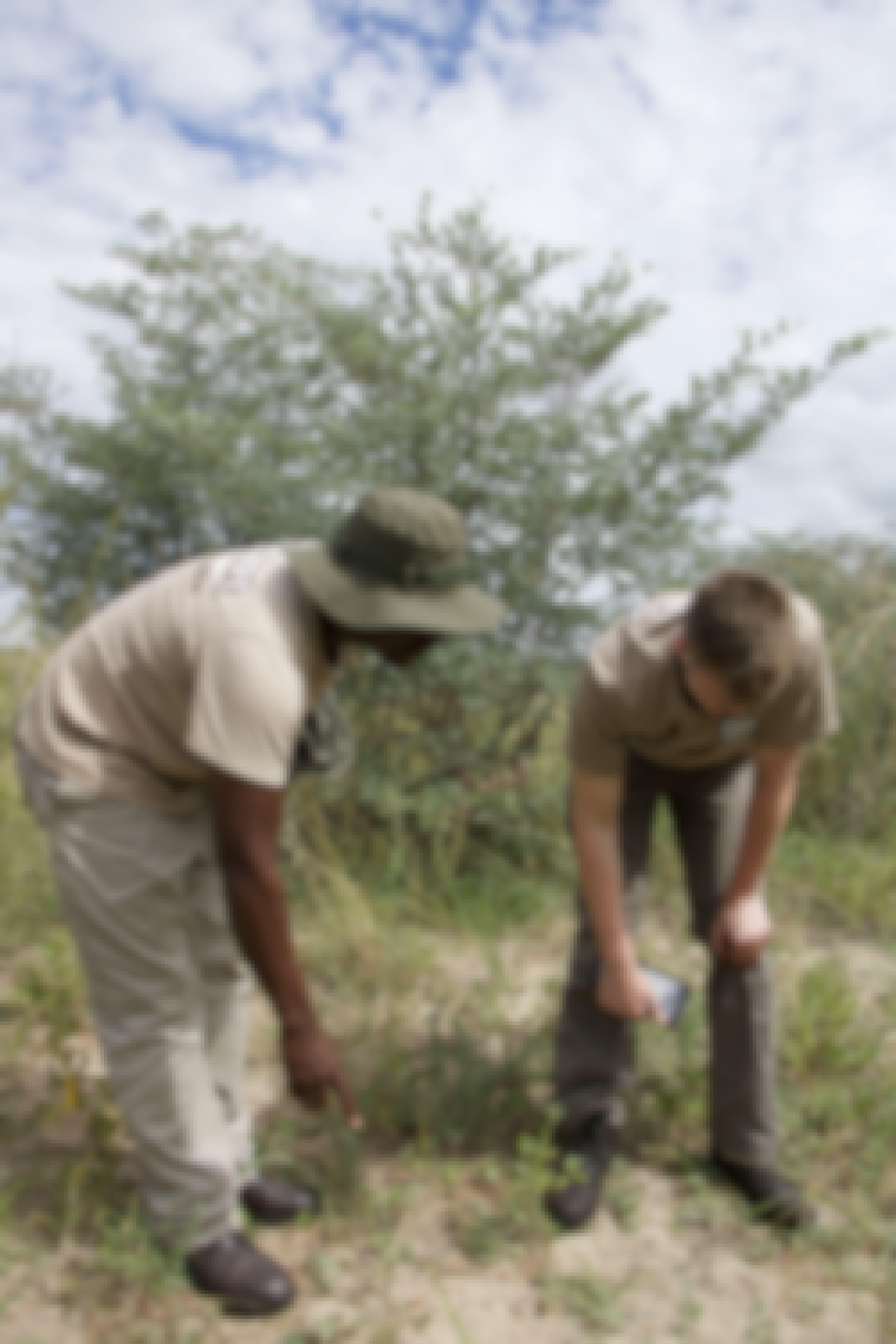 Two males looking down at animal tracks