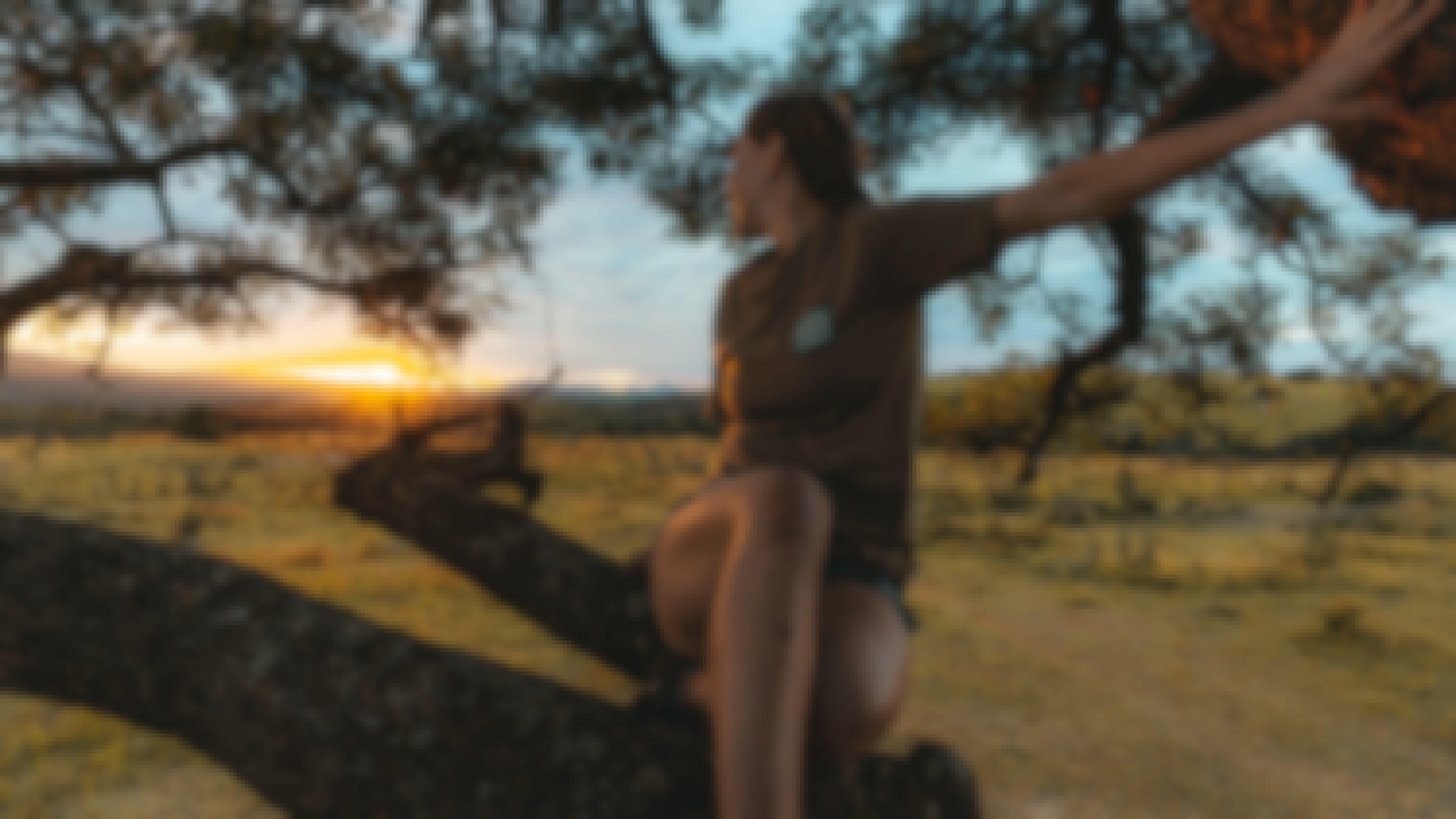 ACE volunteer sitting in tree, looking out across the landscape and to the sunset
