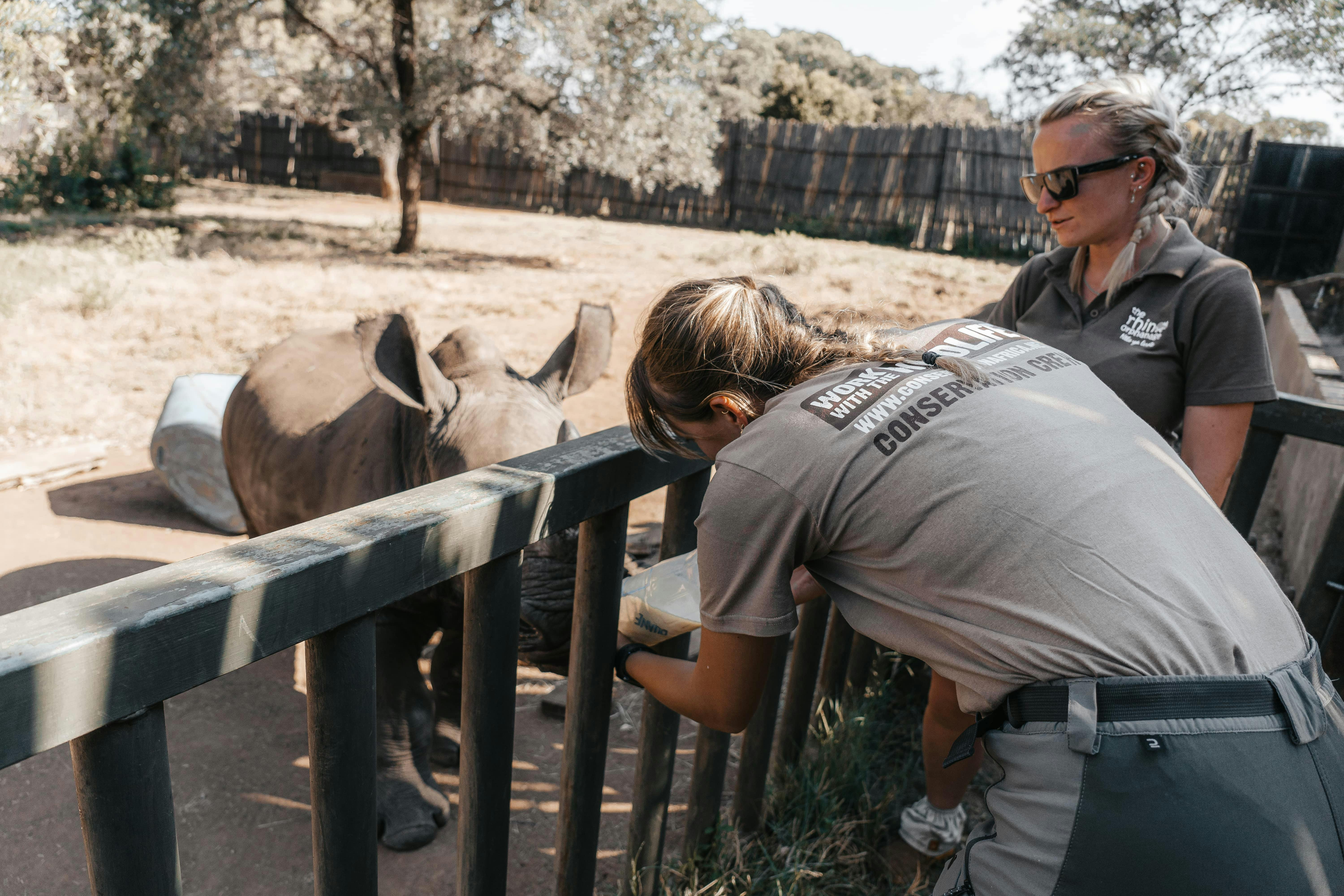 ACE volunteer bottle feeding a baby rhino with a professional assisting, The Rhino Orphanage