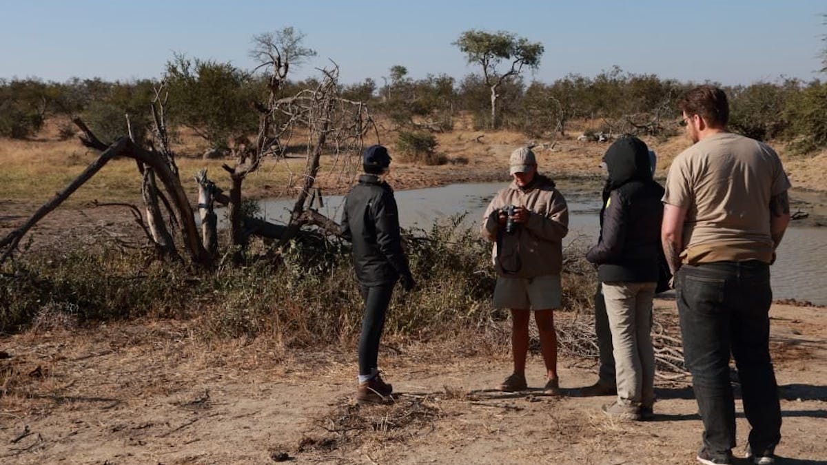 Volunteers reviewing camera footage