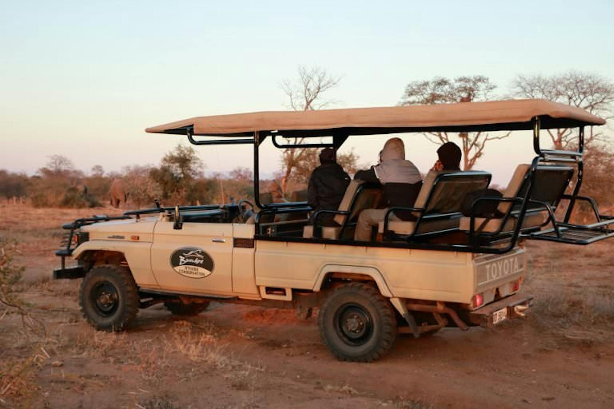 Wild animals like rhino are often most active at night and during the cool early morning hours