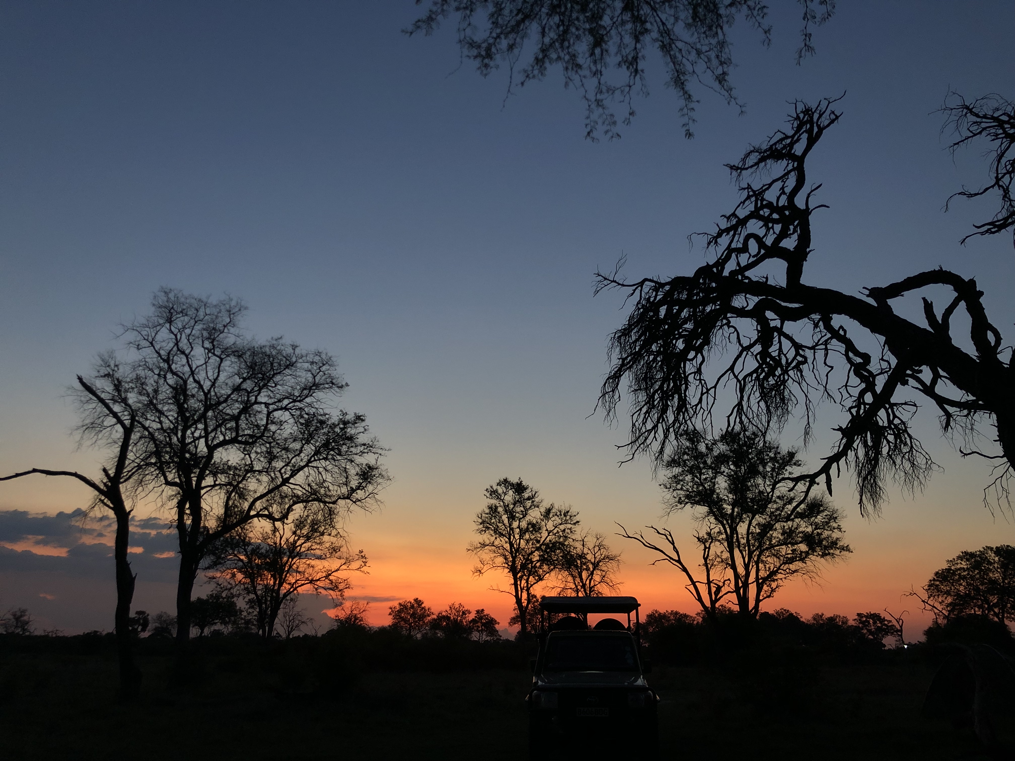 Katherine Prindle: sunset in the Okavango