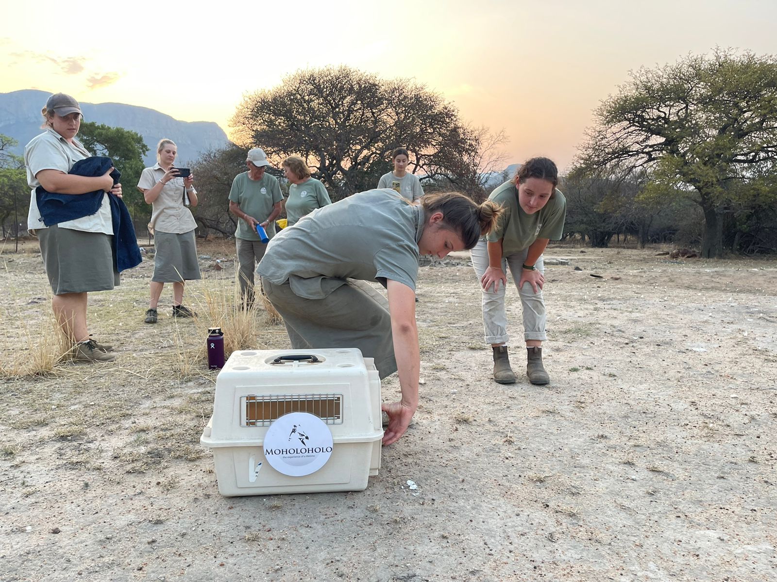Katherine Prindle: releasing an animal at Moholoholo Rehabilitation Centre