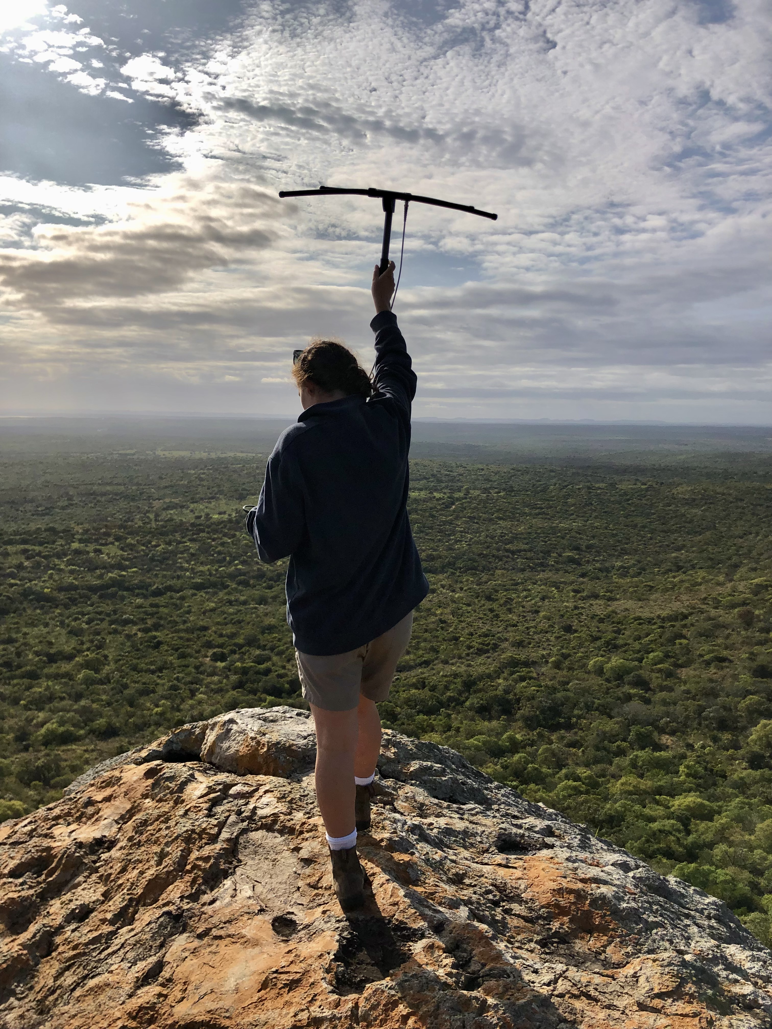 Katherine Prindle: telemetry in Phinda Private Game Reserve