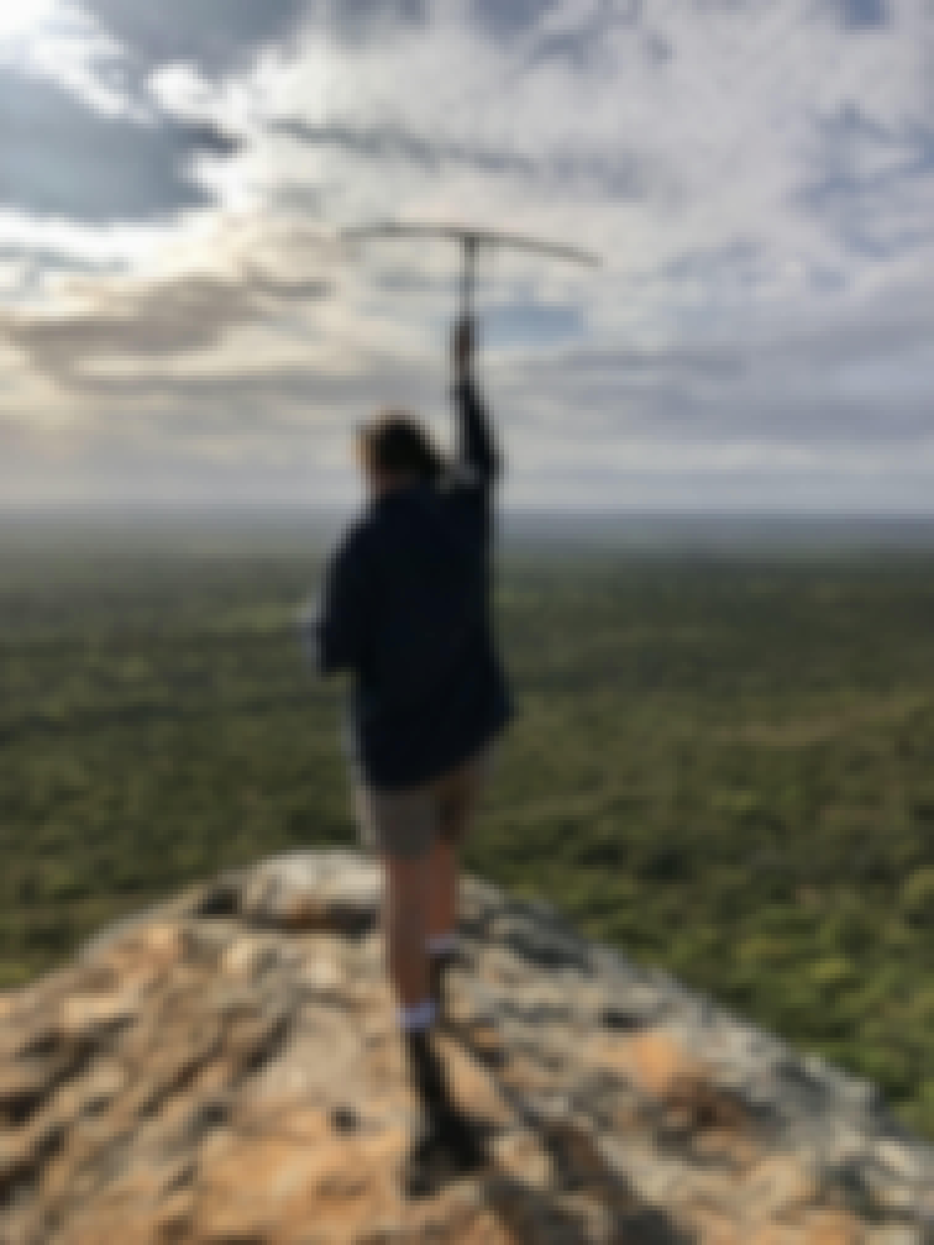Katherine Prindle: telemetry in Phinda Private Game Reserve