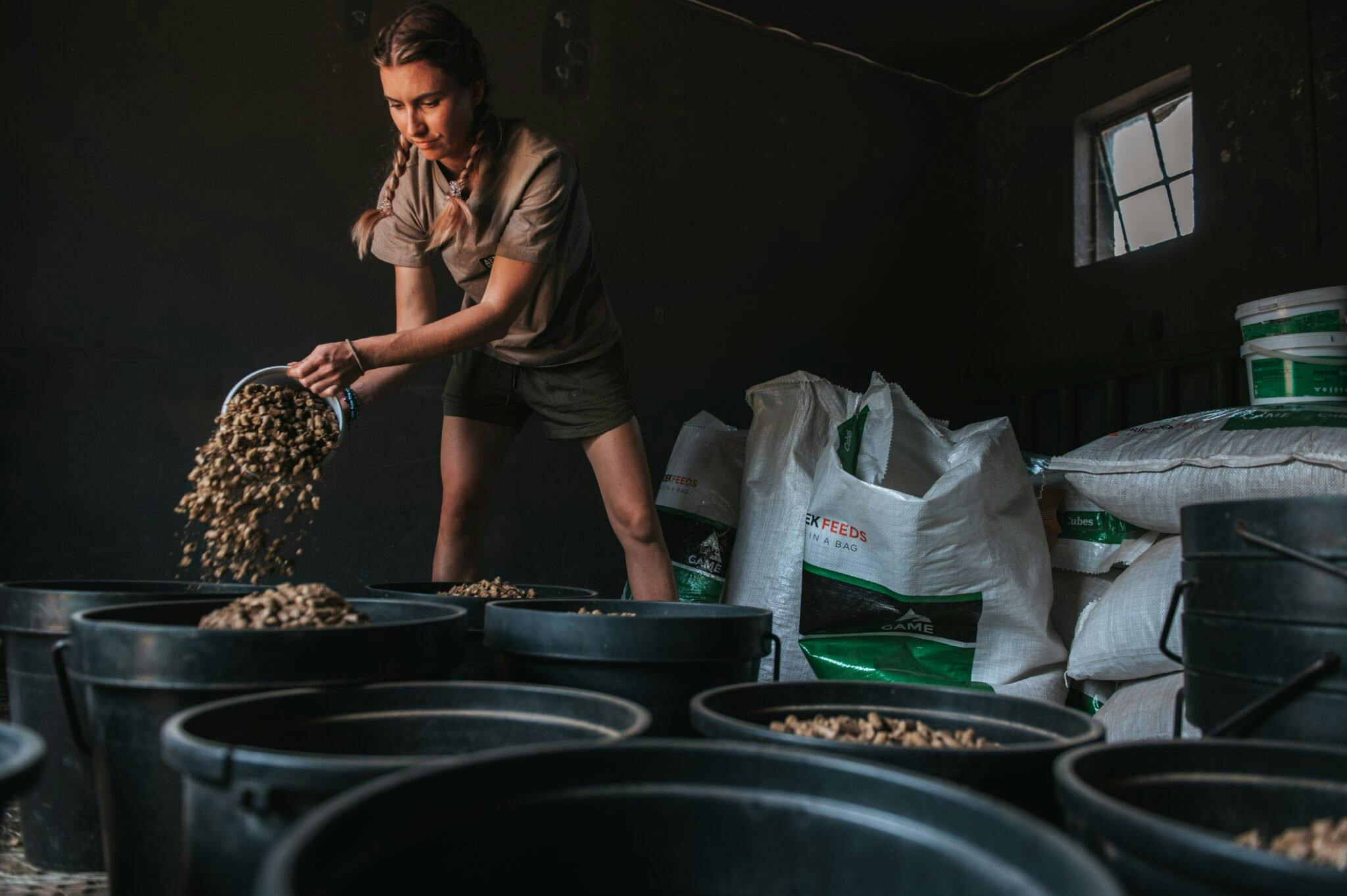 ACE volunteer gathering the feed for rhinos, The Rhino Orphanage