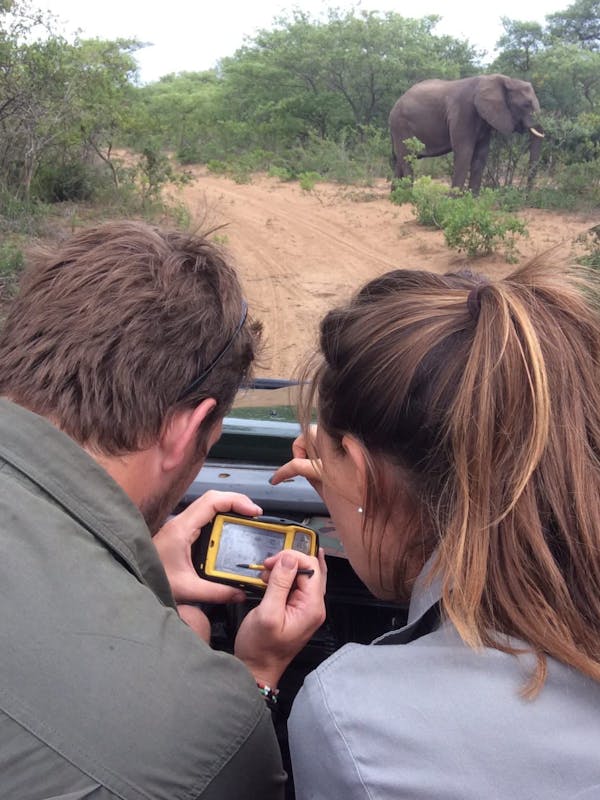 Couple monitoring elephant from a vehicle